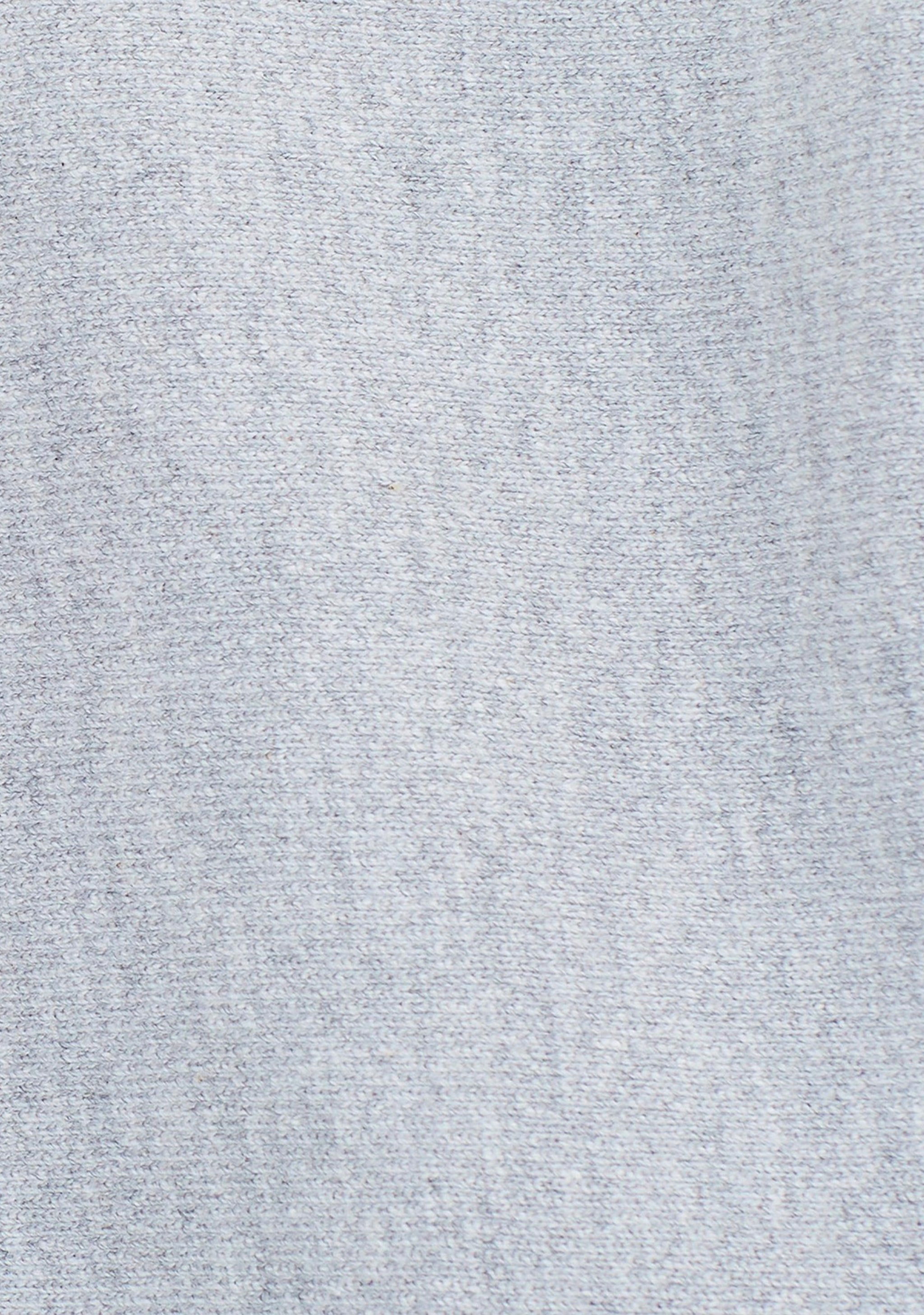 Champion Women’s Reverse Weave C Logo Regular Fit Hoodie Grey