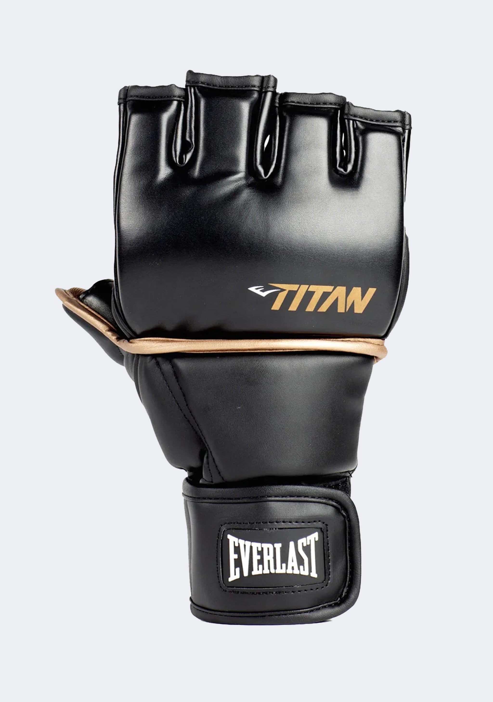 Everlast Titan MMA Grappling Gloves