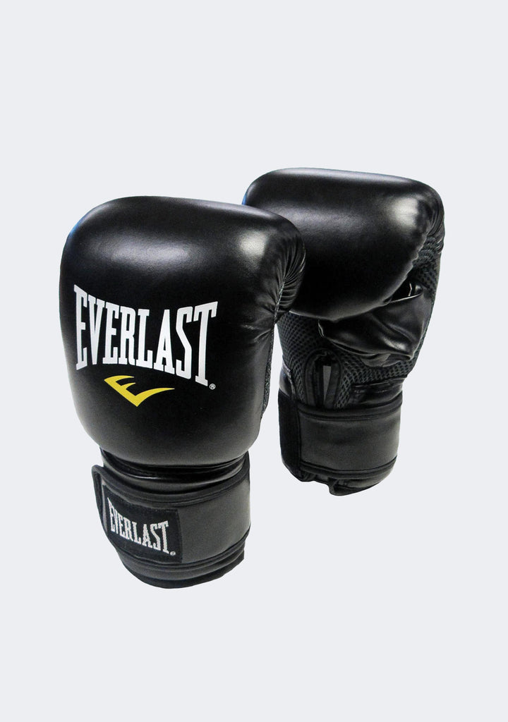 Everlast Punch Bag & Fitness Accessories