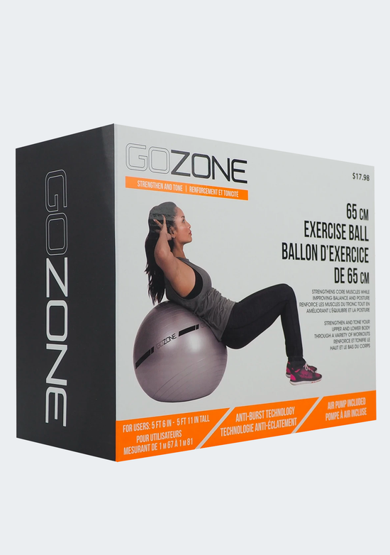 GoZone 65cm Exercise Ball (Pump Included)