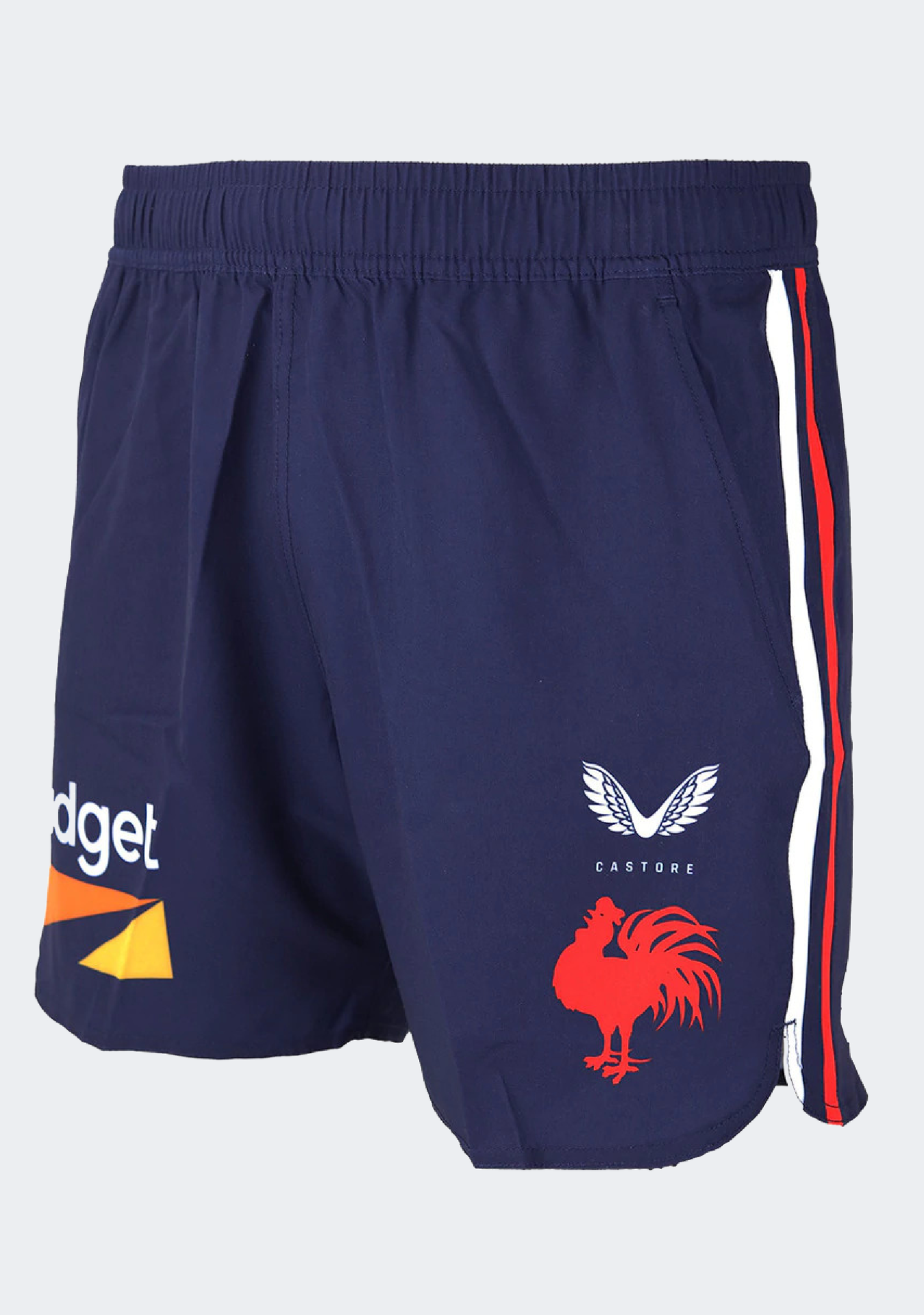 Castore Men's Sydney Roosters Training Shorts