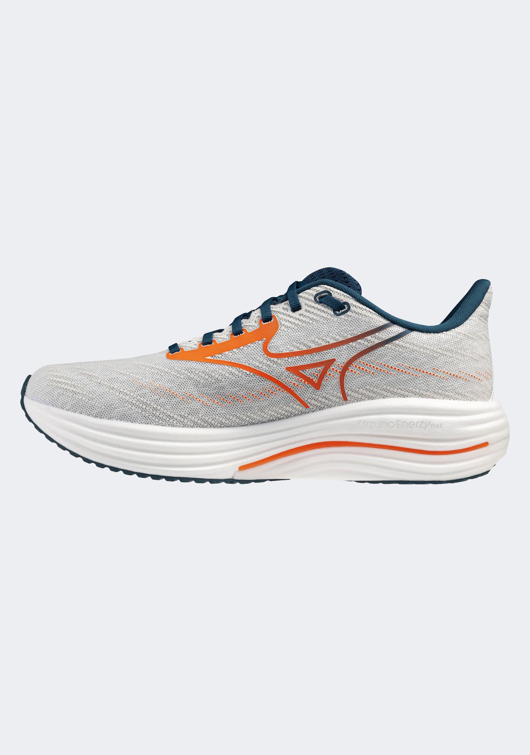 Mizuno Men's Wave Rider 29