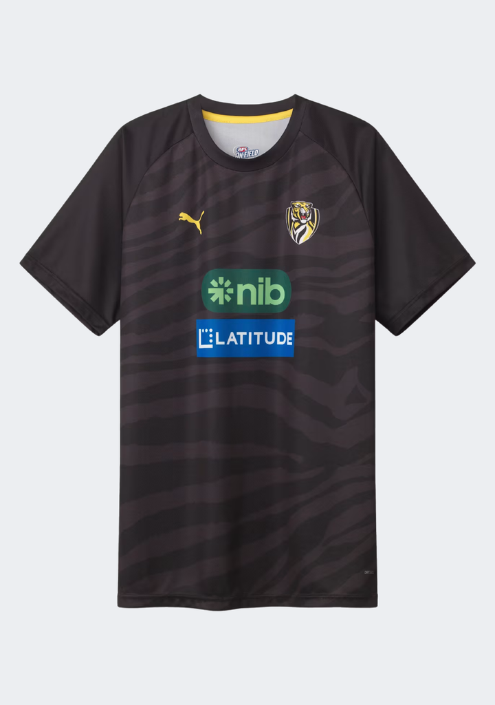 Puma Men's Richmond FC 2024 Replica Training Tee