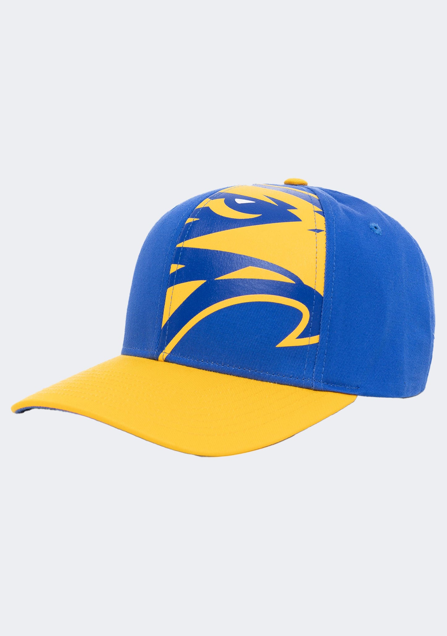 West Coast Eagles Youth Big Logo Low Profile Cap (W23)