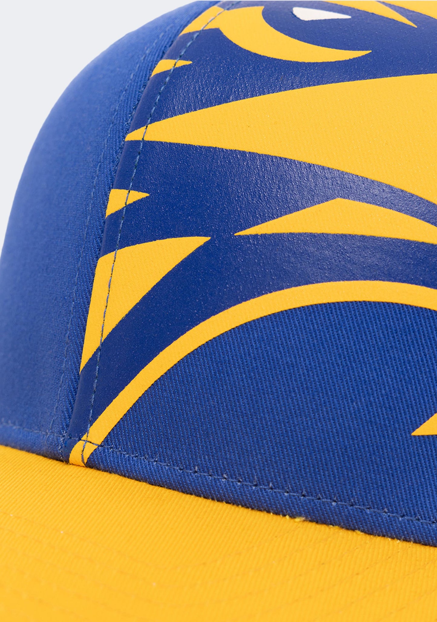 West Coast Eagles Youth Big Logo Low Profile Cap (W23)