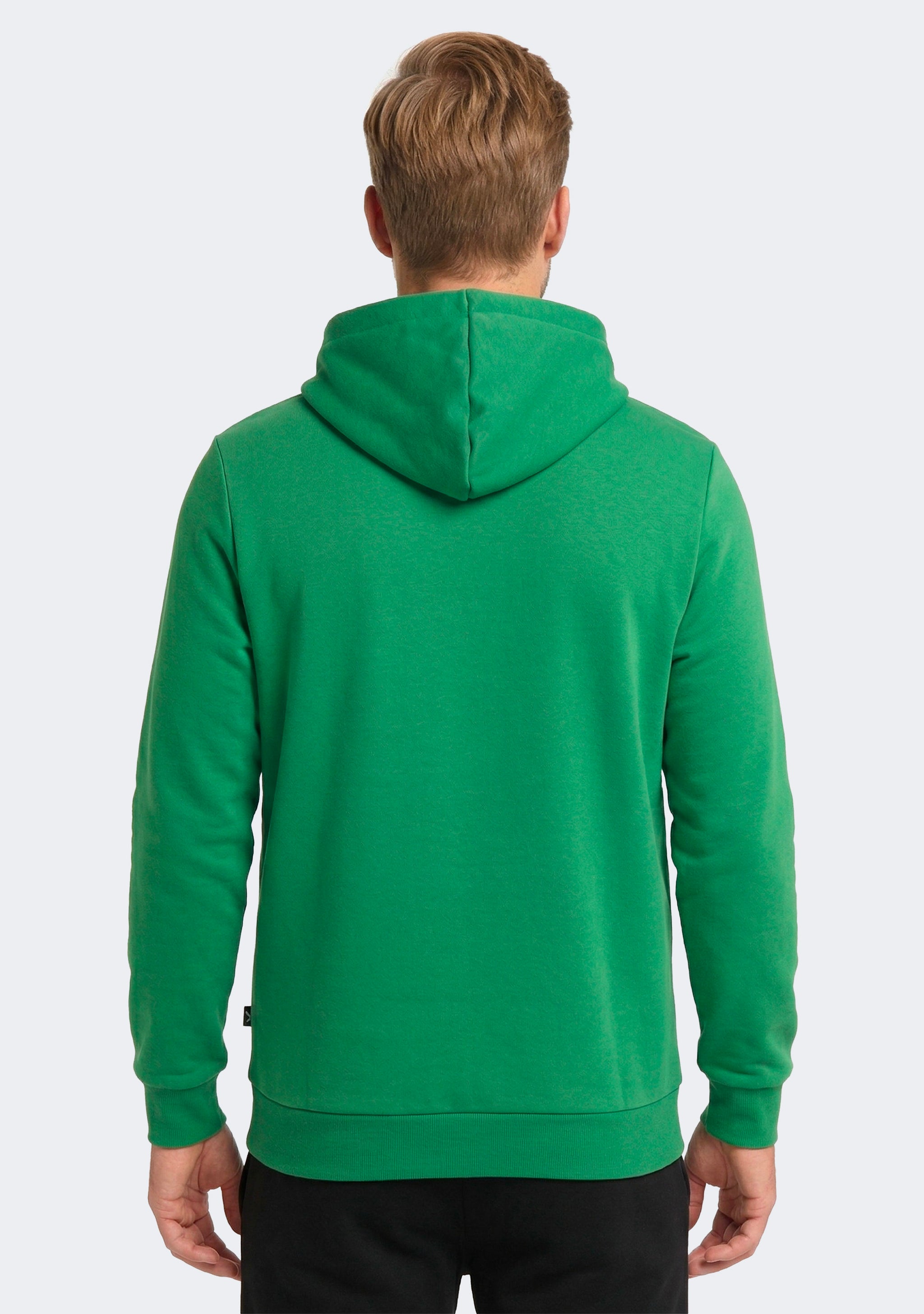 Puma Men's Essentials+ Two-Tone Big Logo Hoodie