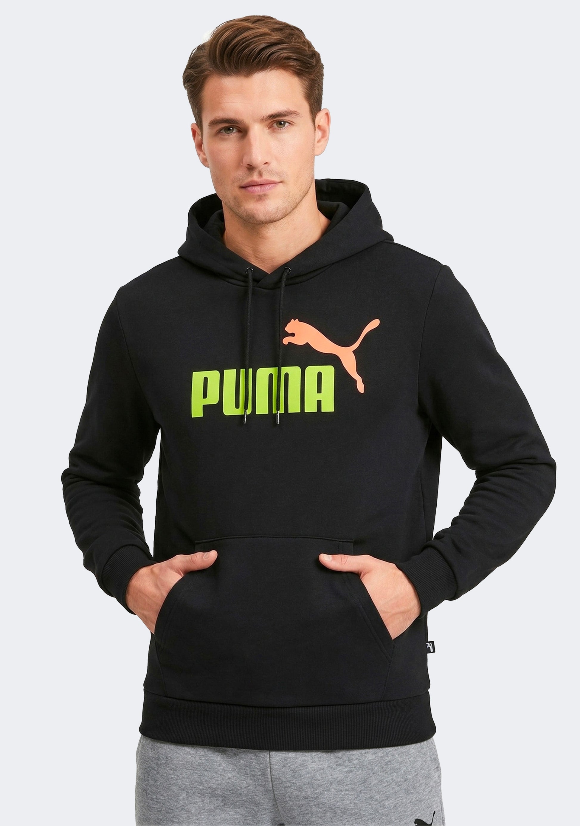 Puma Men's Essentials 2 Colour Big Logo Hoodie