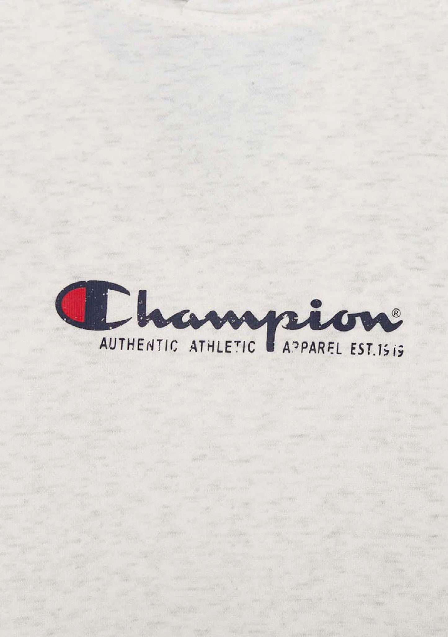 Champion Men’s Lightweight French Terry Script Hoodie