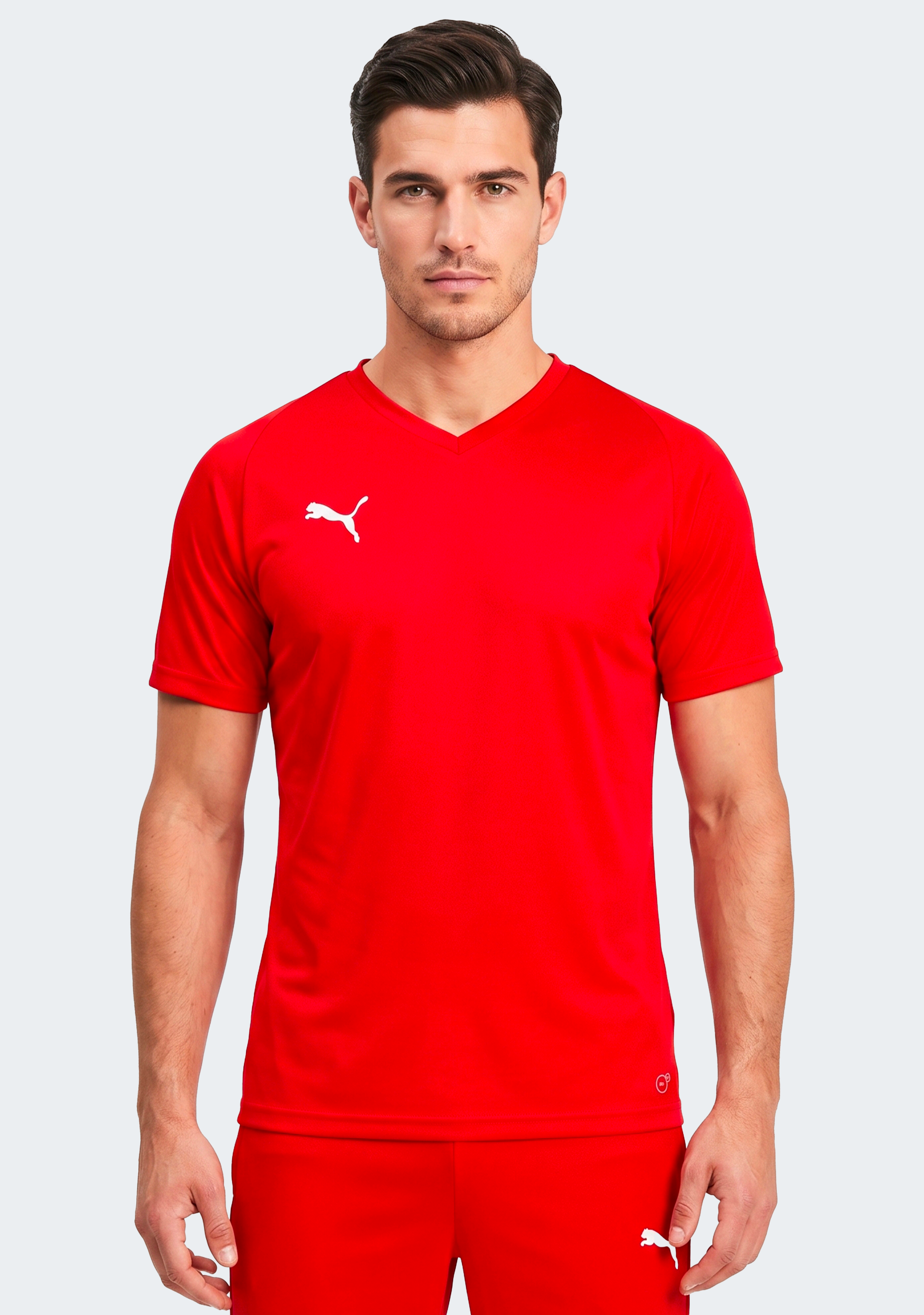 Puma Men's Liga Core Jersey