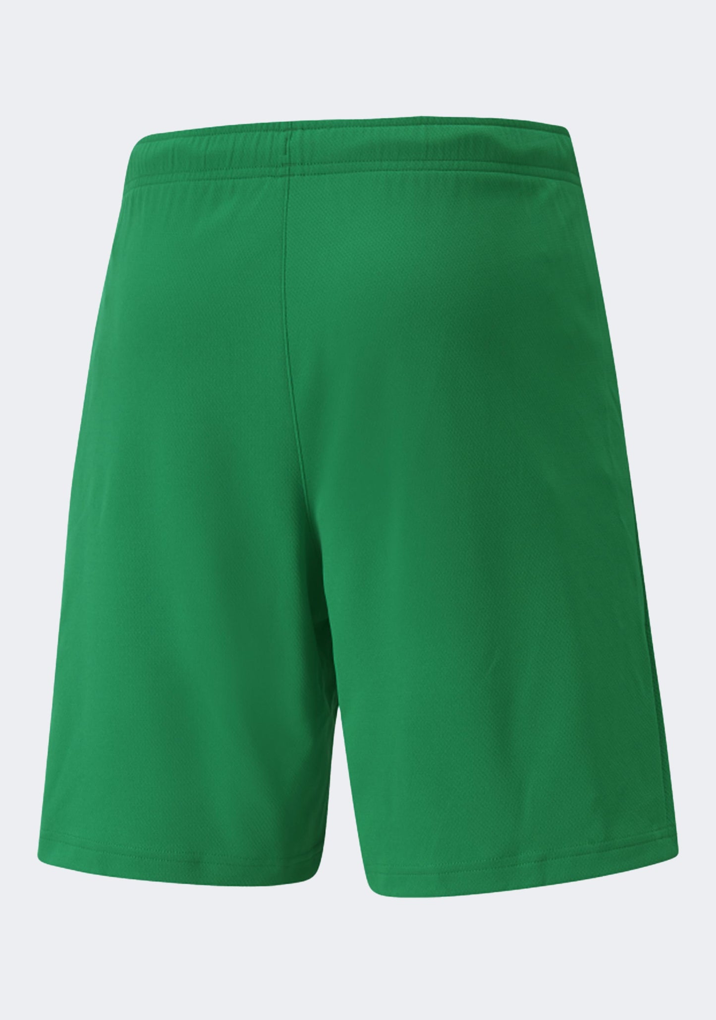 Puma Men's TeamRISE Shorts