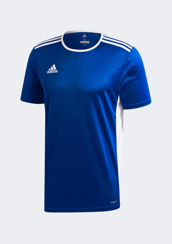 Adidas Kids' Entrada 18 Jersey