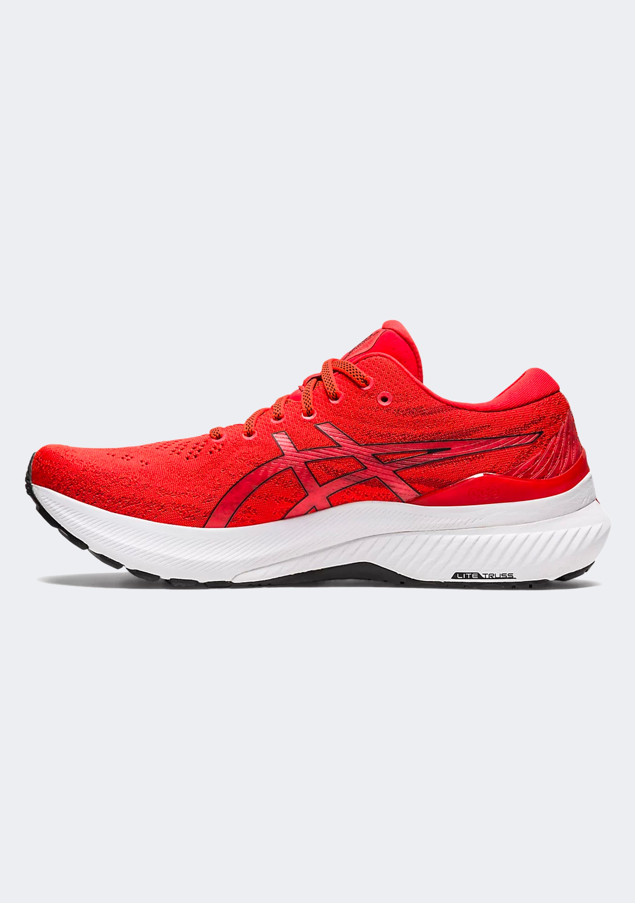 Asics Men’s Gel-Kayano 29
