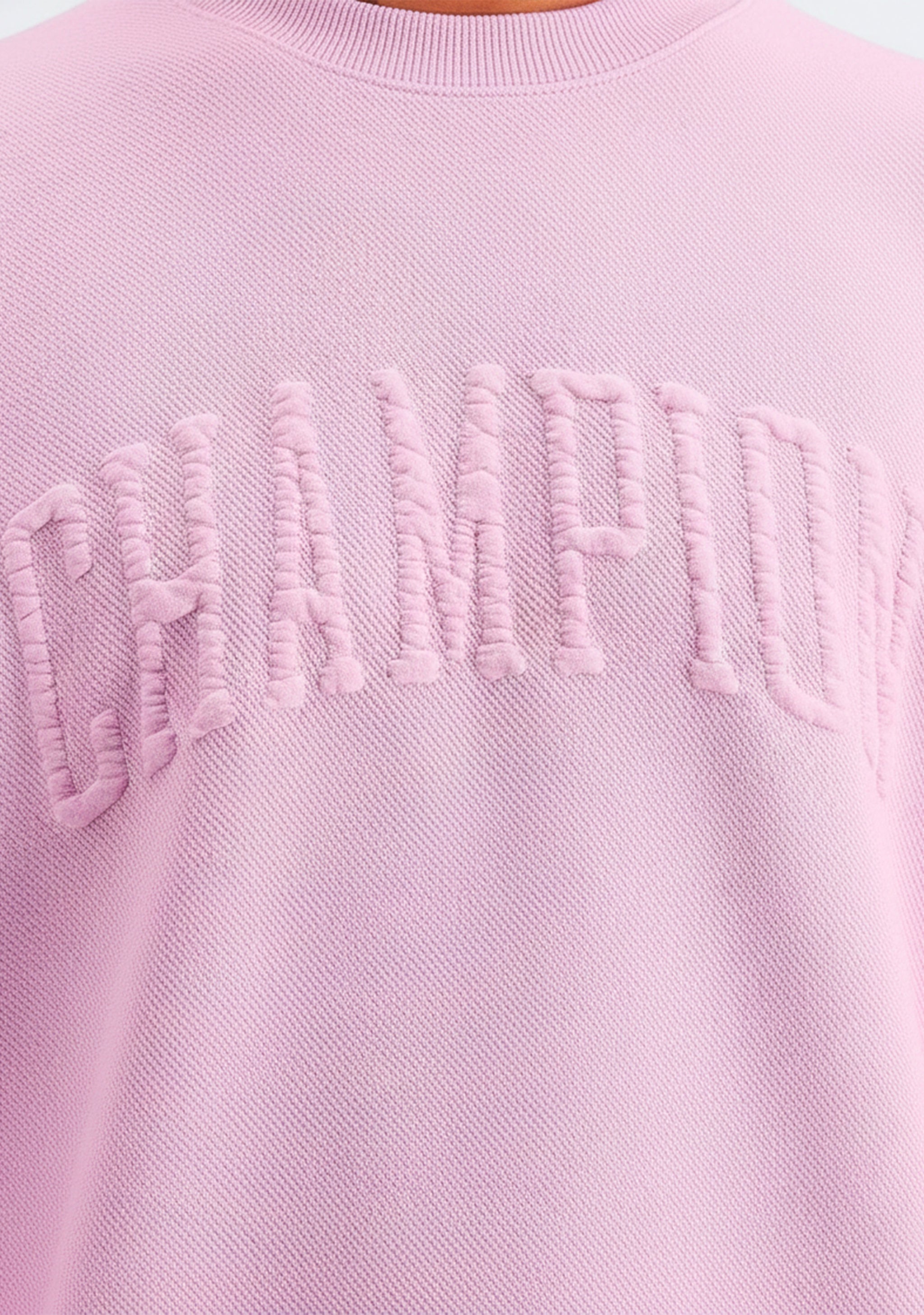 Champion Men's Lifestyle Jacquard Twill Pride Crew