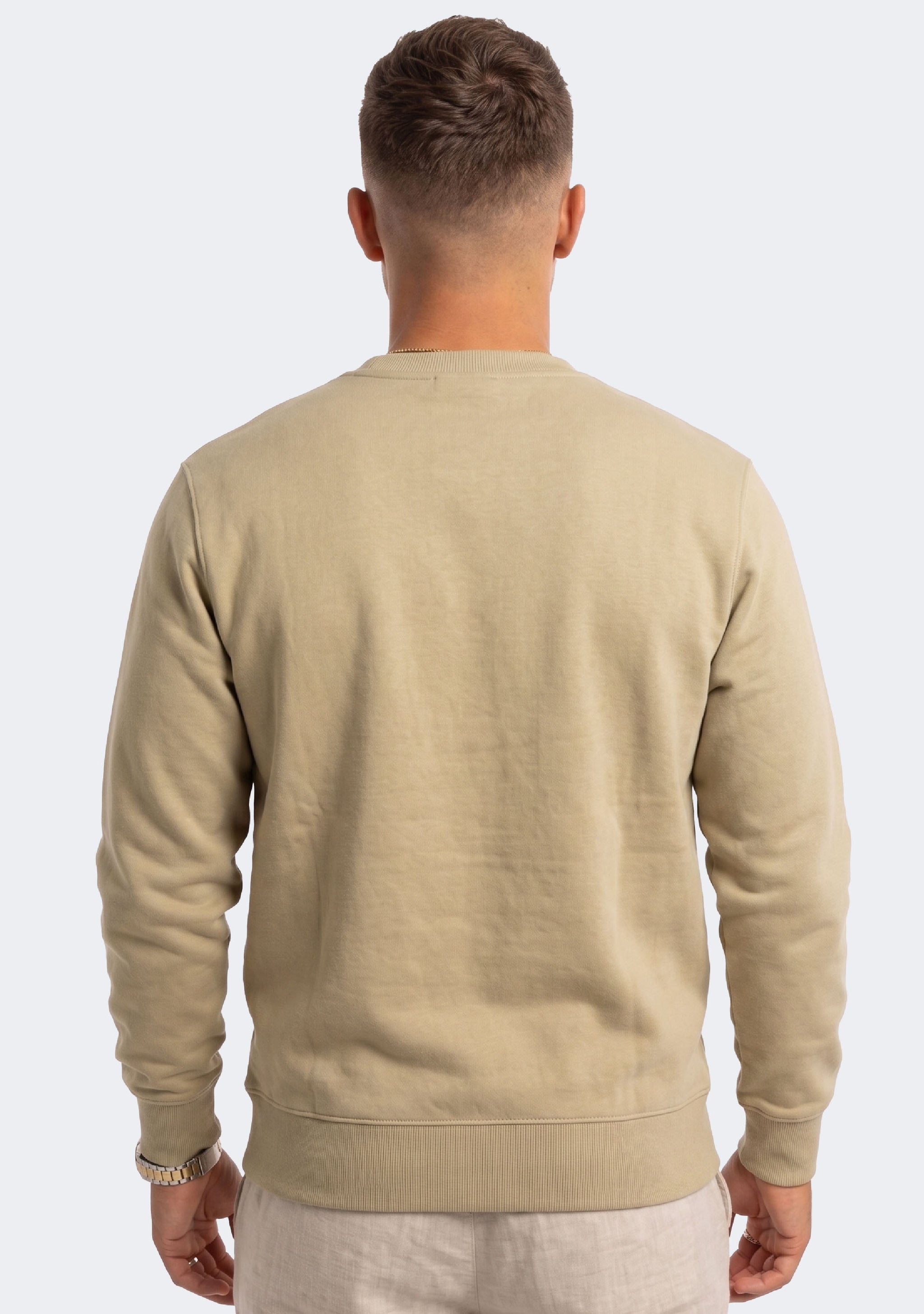 Champion Men's SPS Colourblock Script Crew