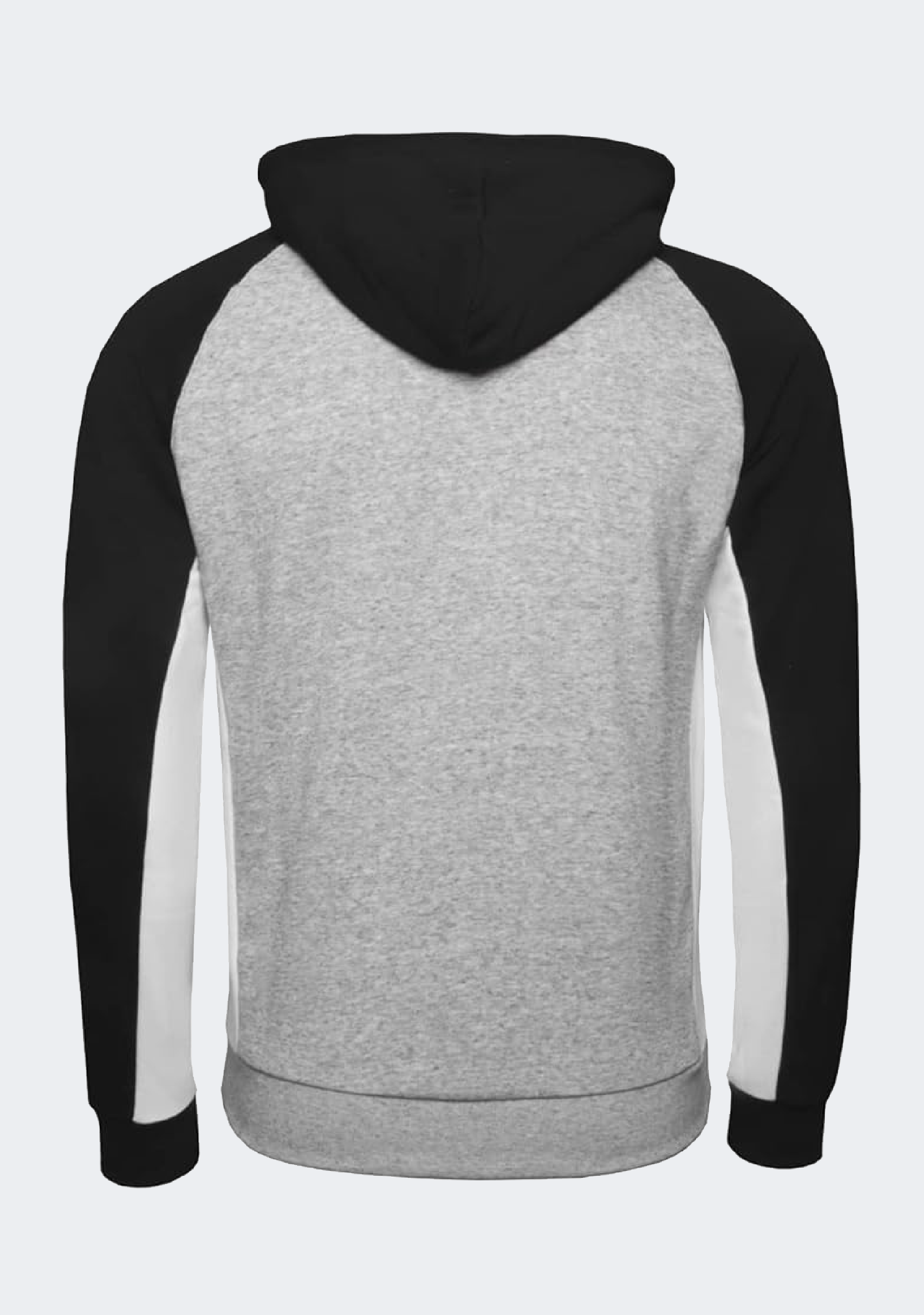Champion Men's EU Rochester Colourblock Hoodie