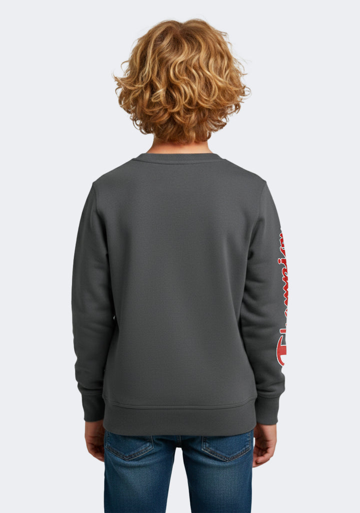 Champion Kids' SPS Graphic Print Crew