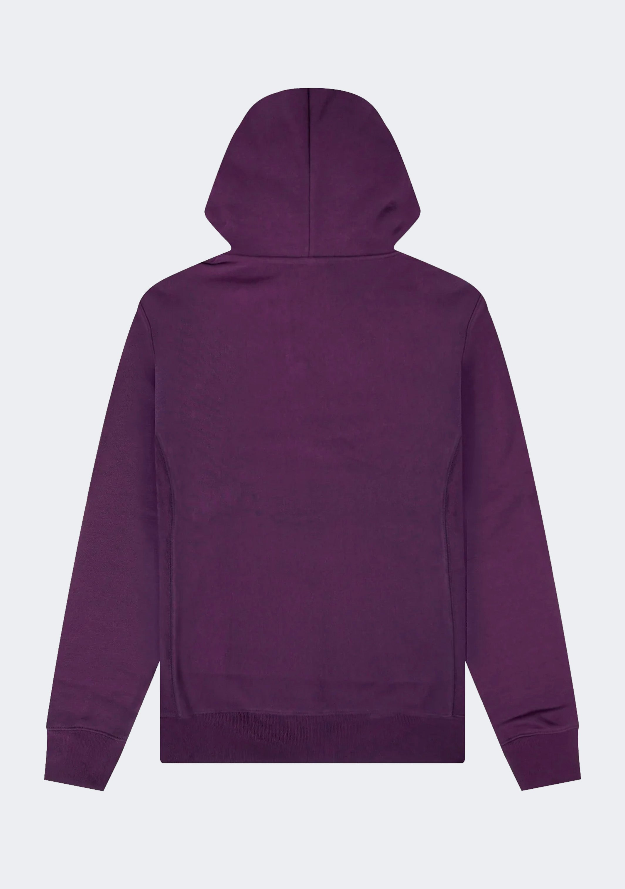 Champion Men's Reverse Weave Small C Hoodie