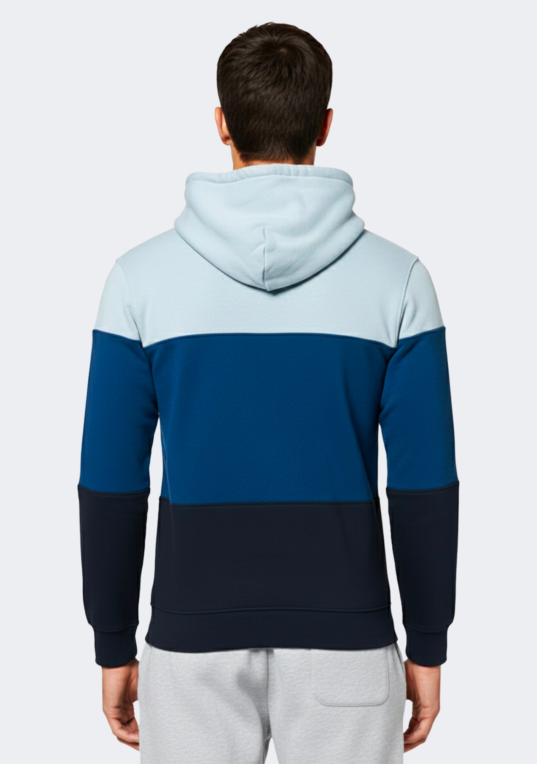 Champion Men's EU Rochester Colourmix Hoodie