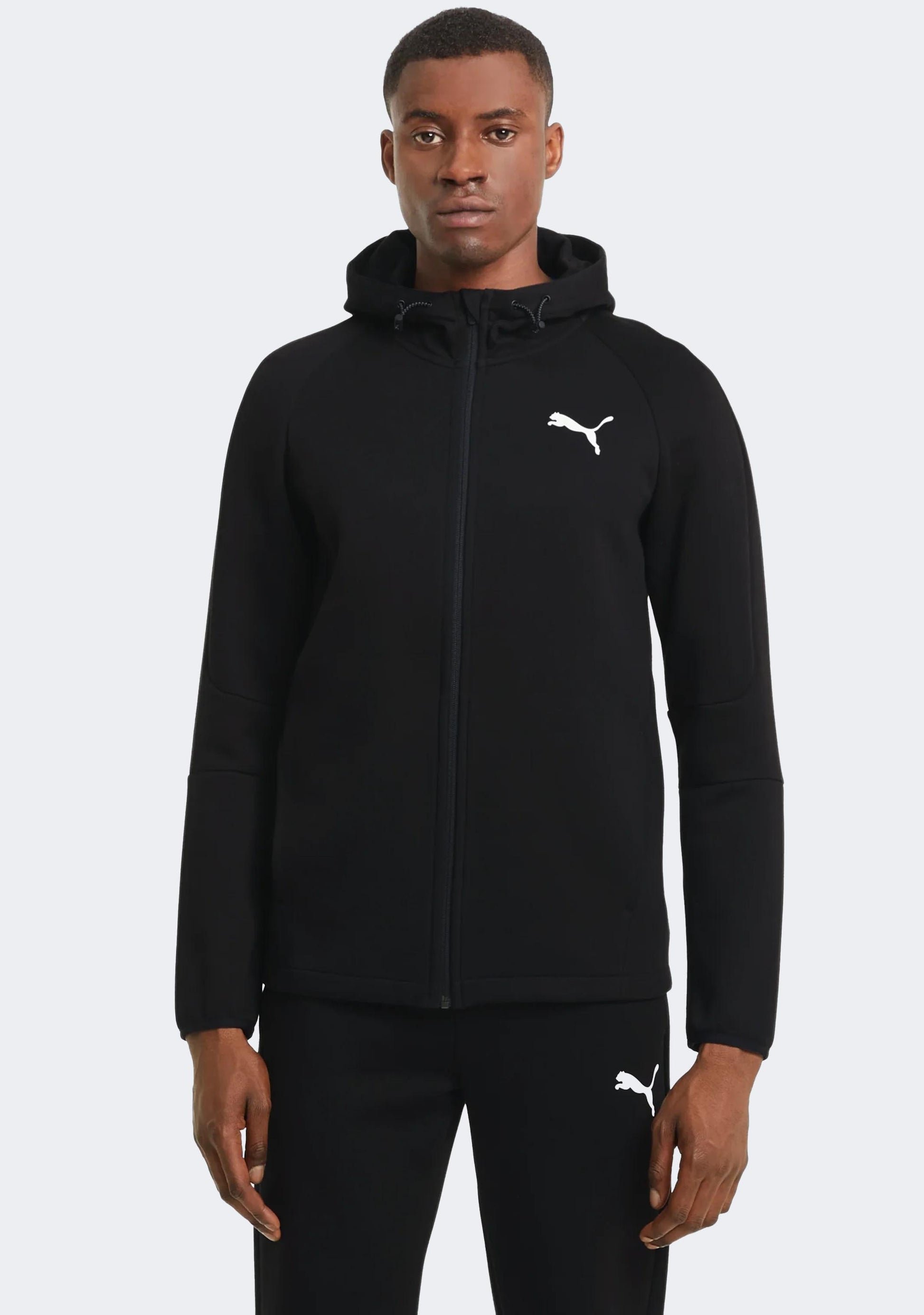Puma Men's EVO Stripe Core FZ Hoodie Black
