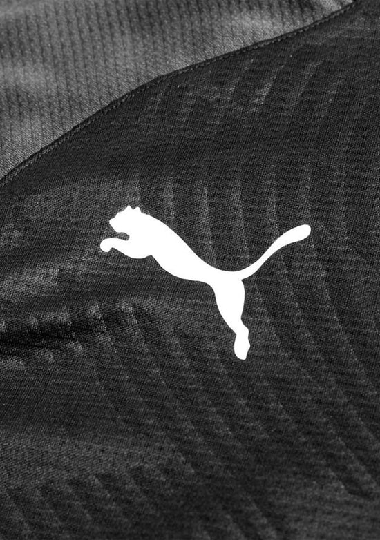Puma Men's Cup Training 1/4 Zip Core Top