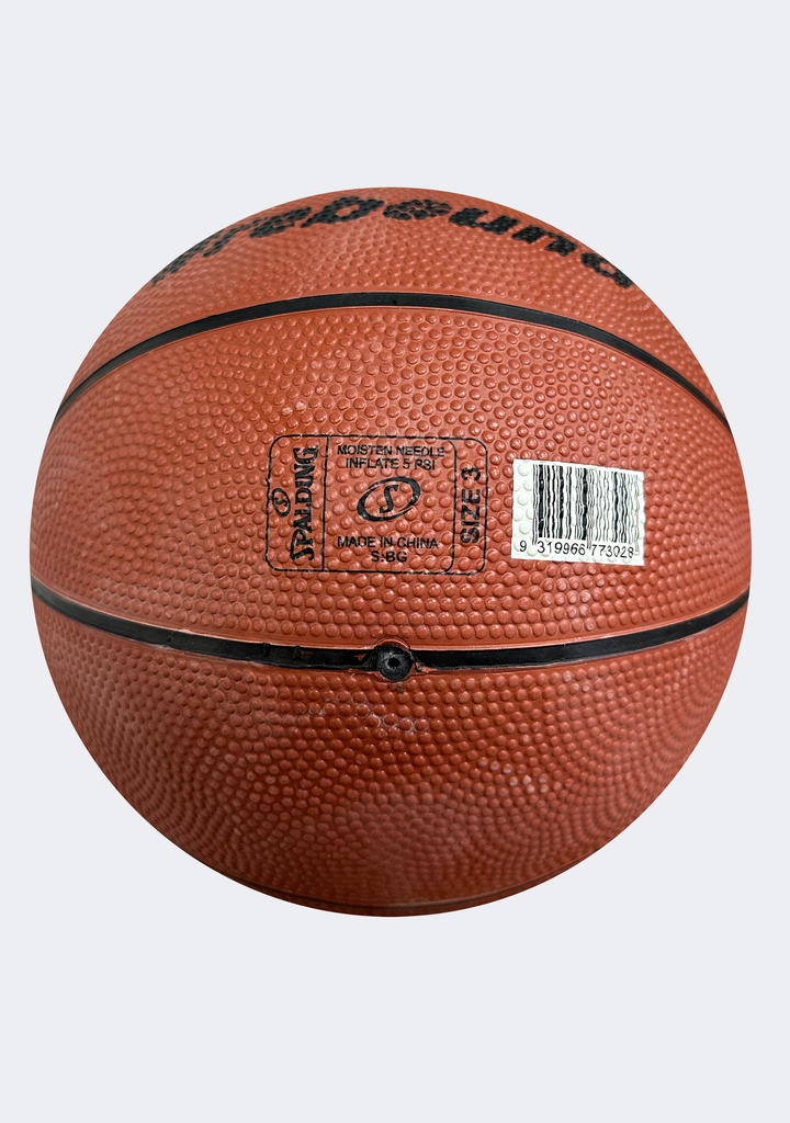 Spalding Rebound Outdoor Basketball