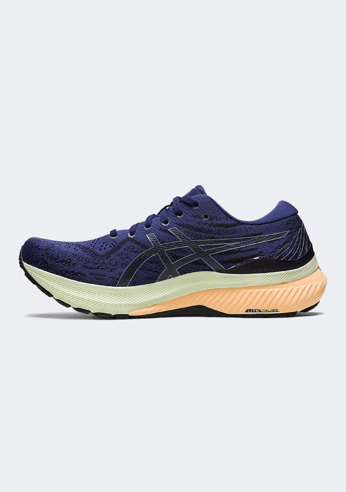 Asics Men's Gel Kayano 29