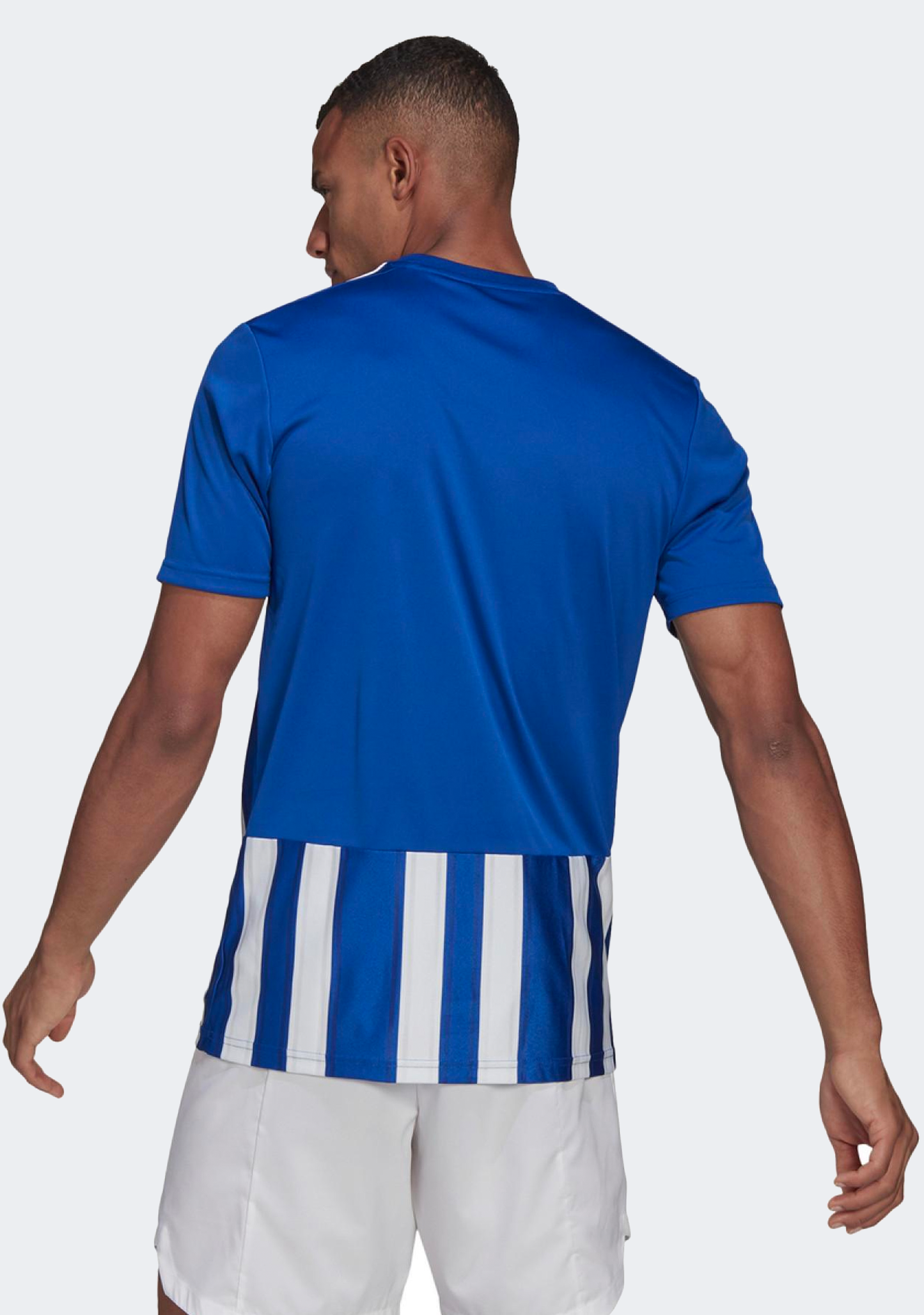 Adidas Mens Striped 21 Jersey Blue/White