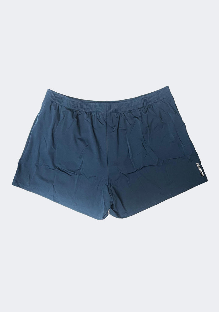 Speedo Men's Rogue Shorts