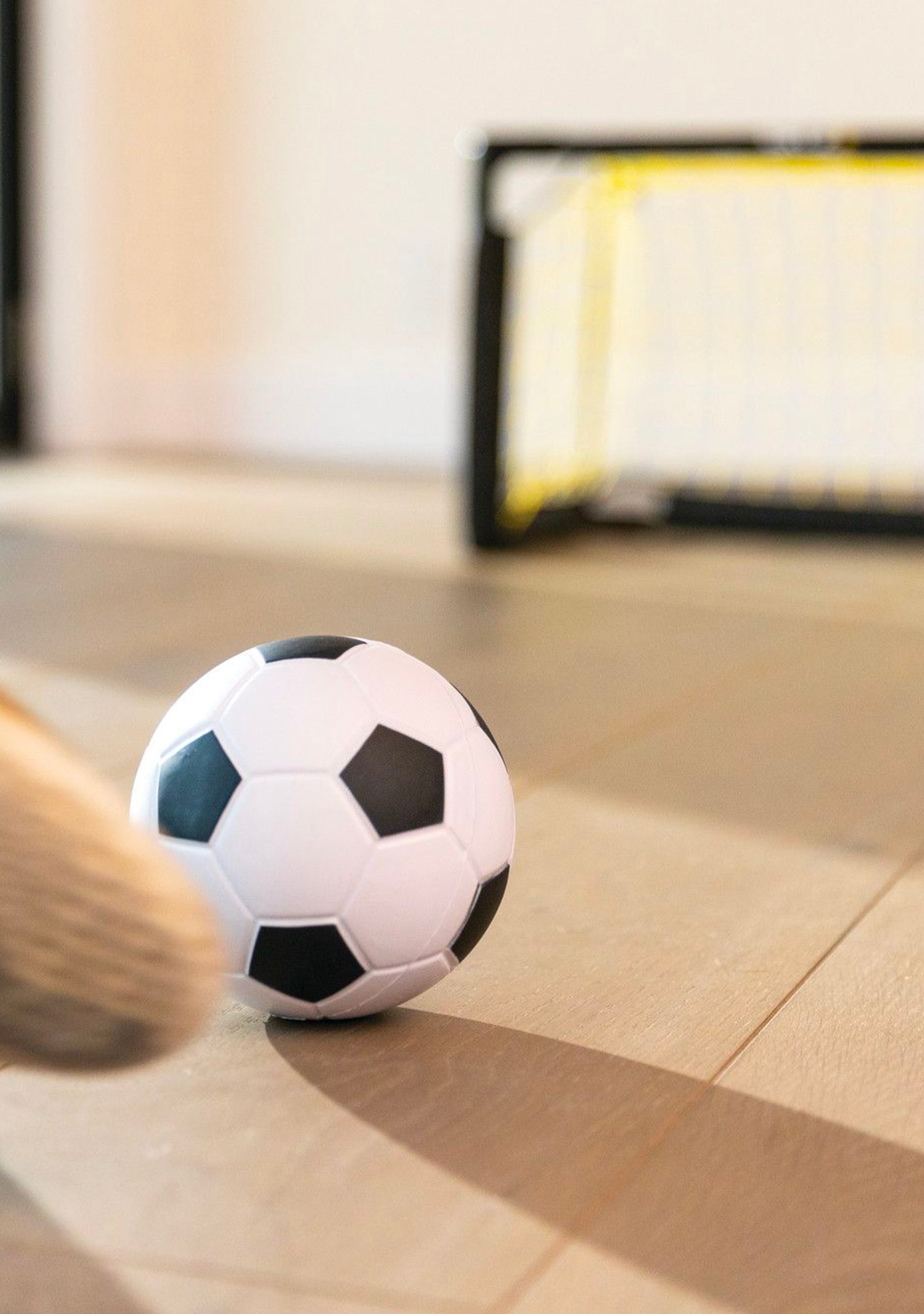 Sklz Pro Mini Soccer Goal