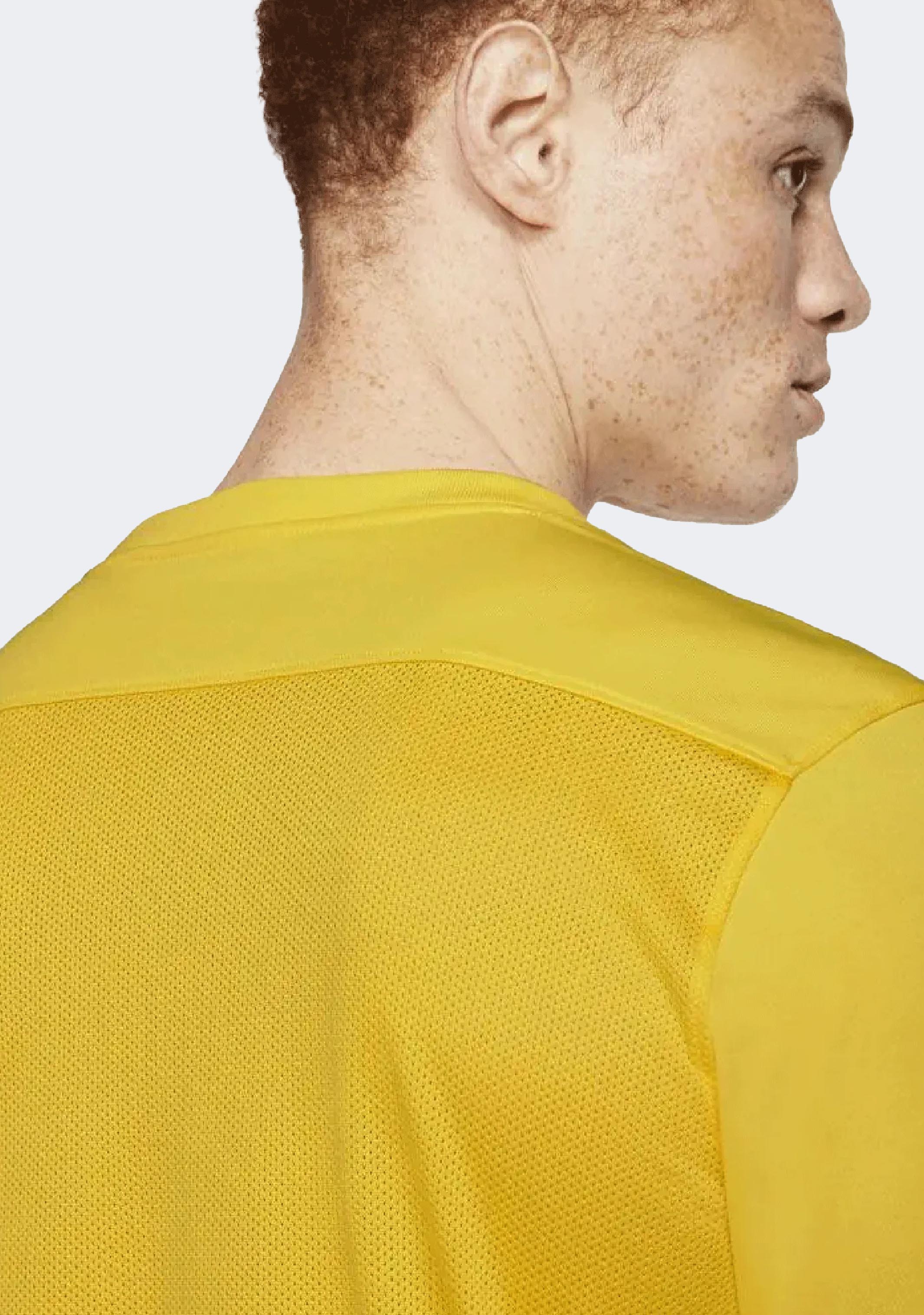 Nike Men’s Dri Fit Park Jersey