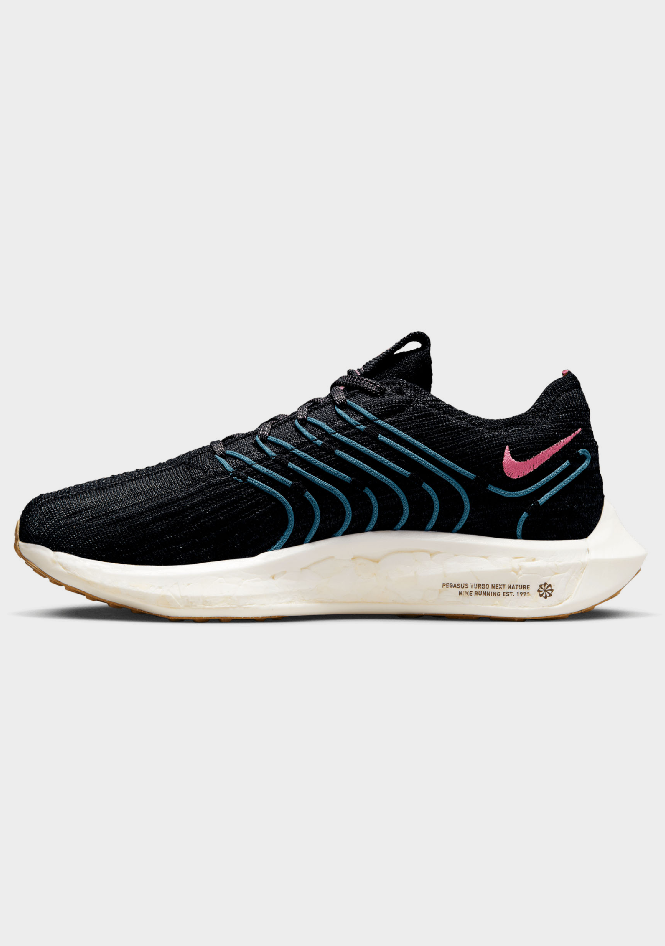 Nike Women’s Pegasus Turbo Next Nature