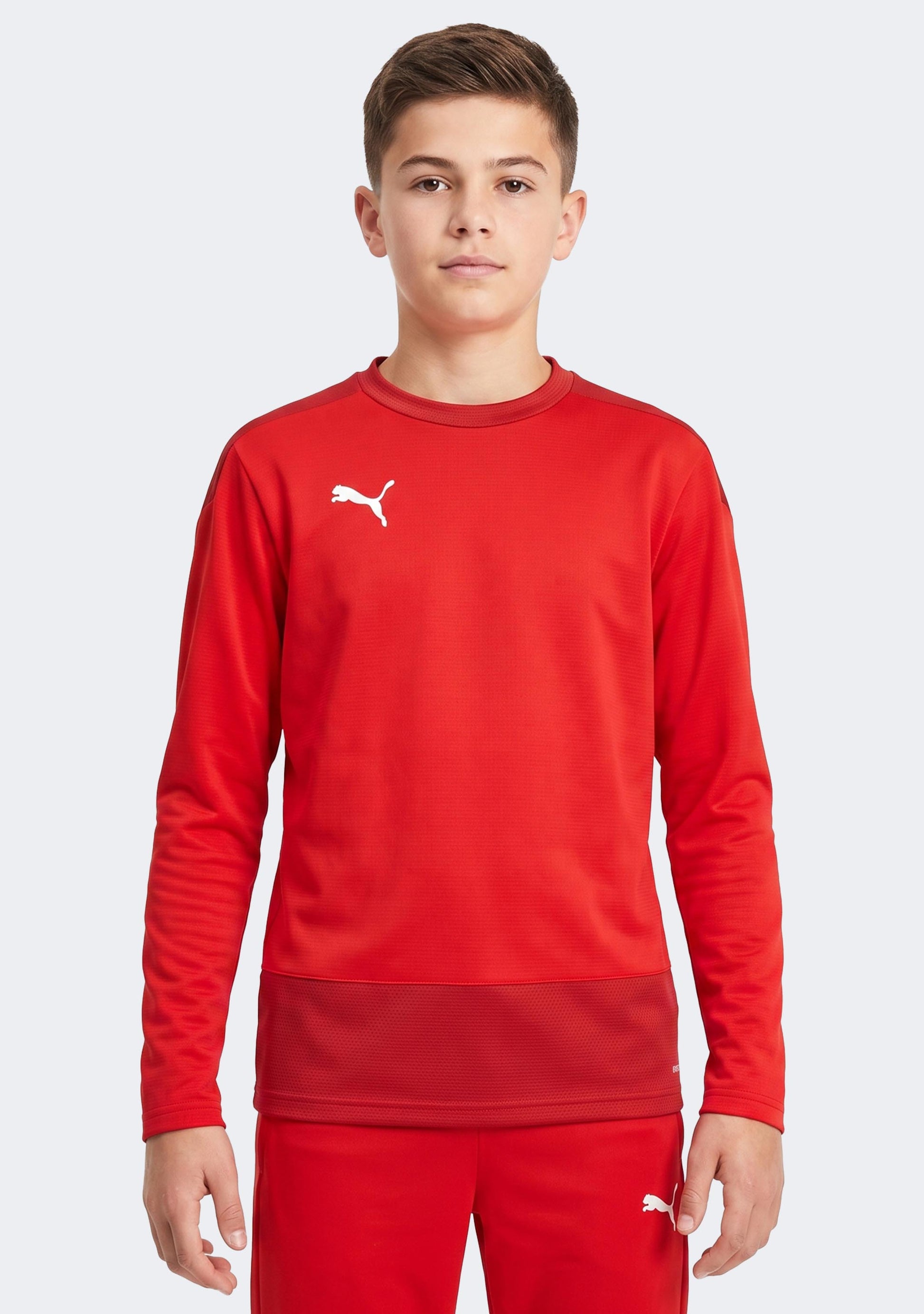 Puma Kids' TeamGOAL 23 Training Sweat