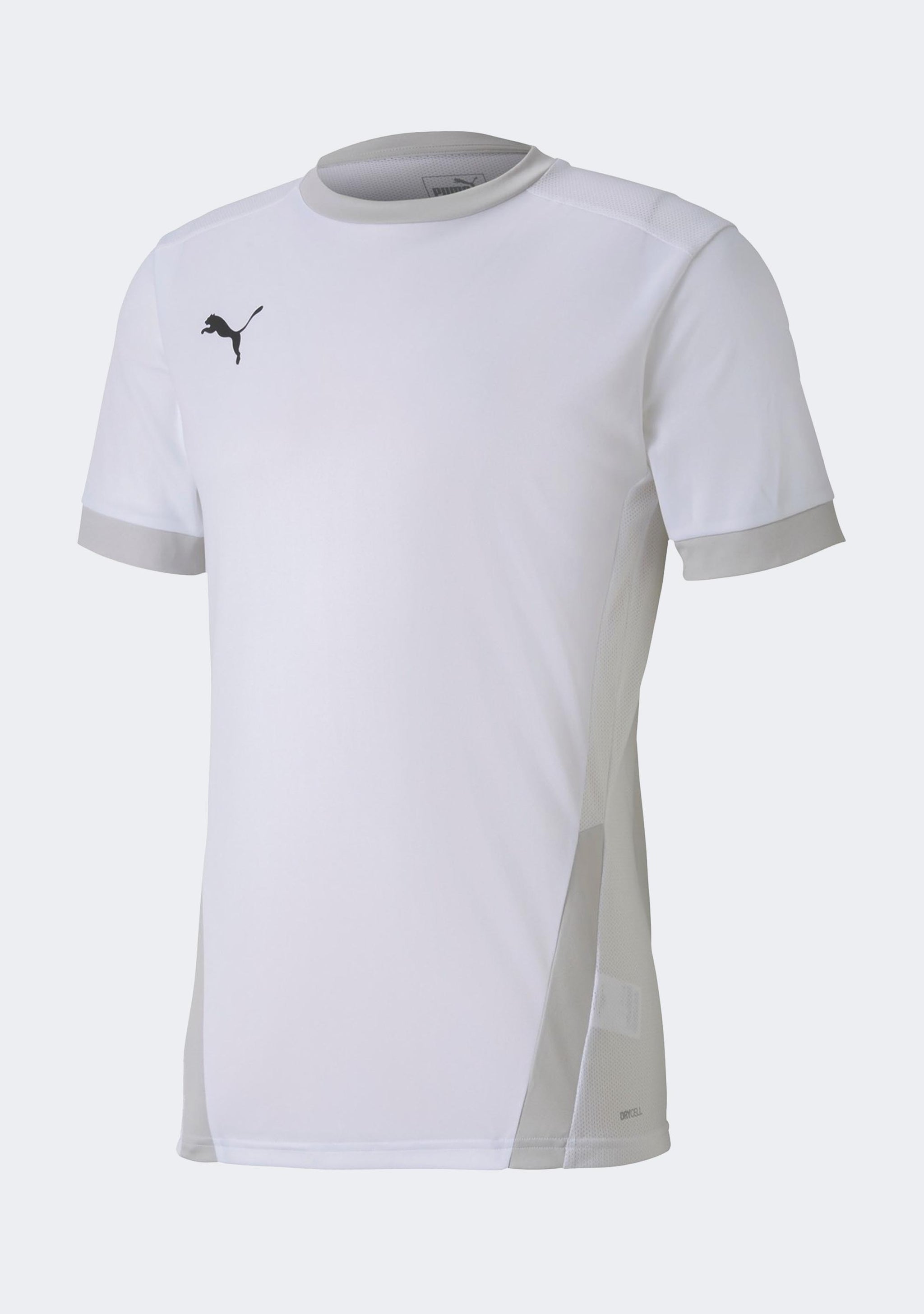 Puma Men's TeamGOAL 23 Jersey