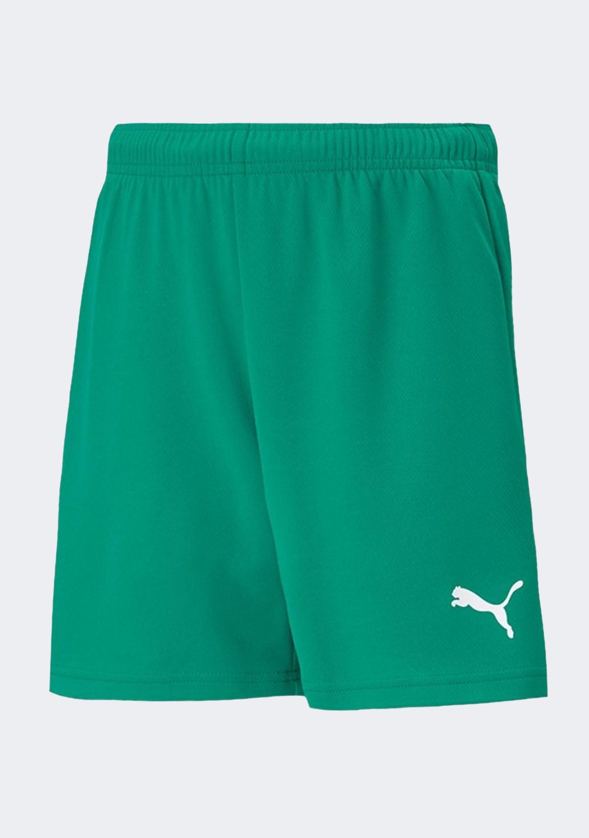 Puma Kids' TeamRise Shorts
