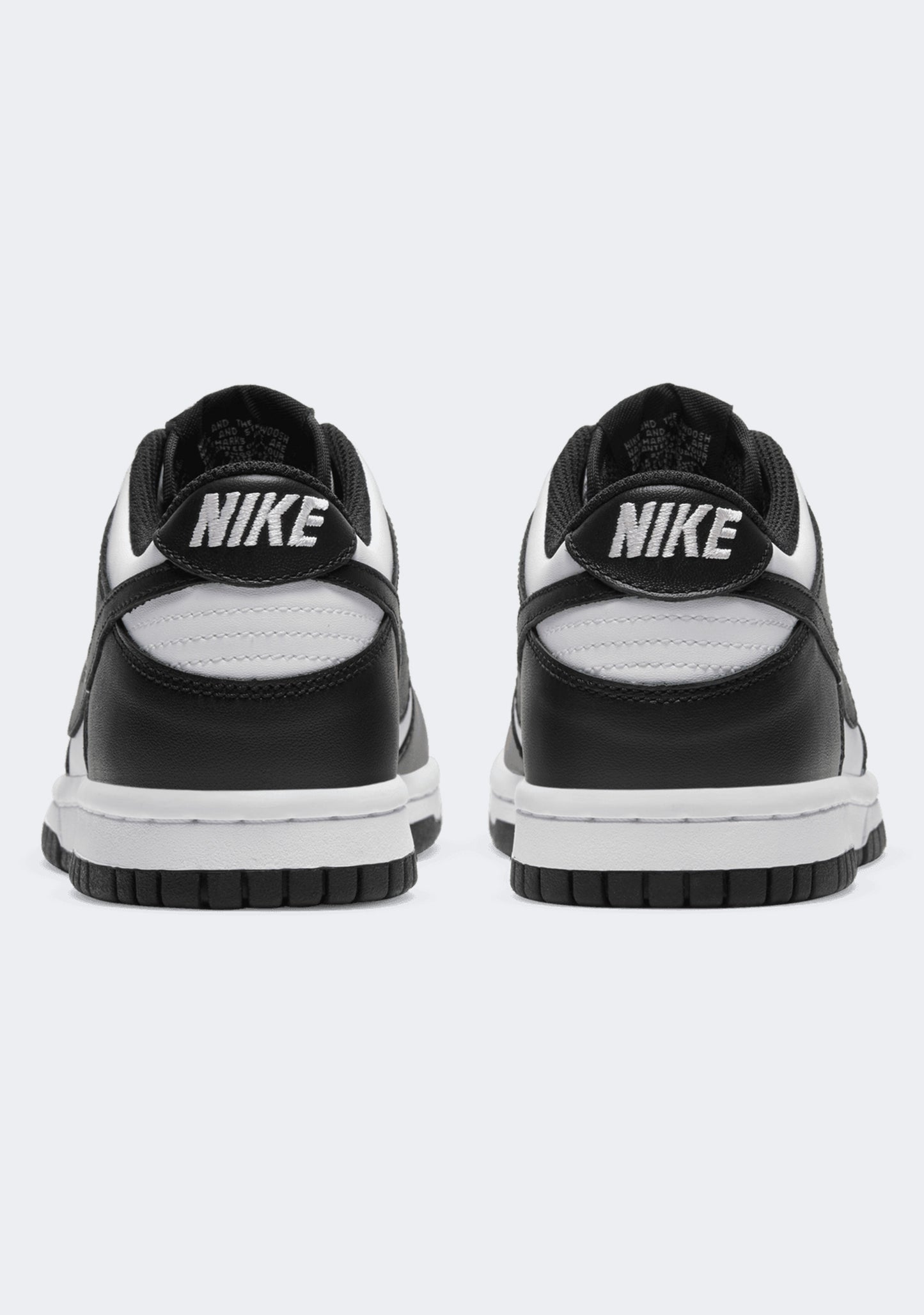 Nike Kids' Dunk Low (GS)