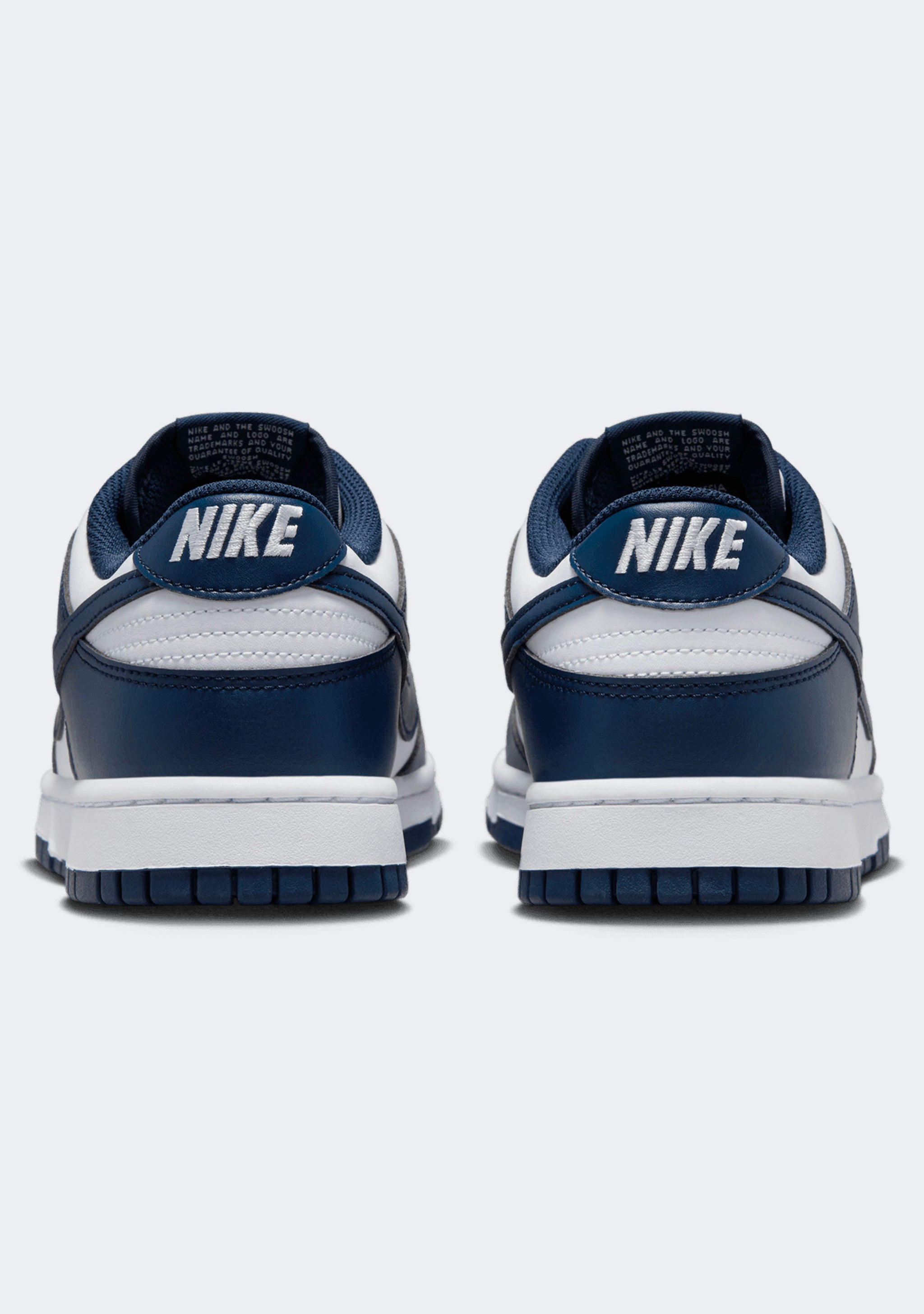 Nike Men's Dunk Low Retro