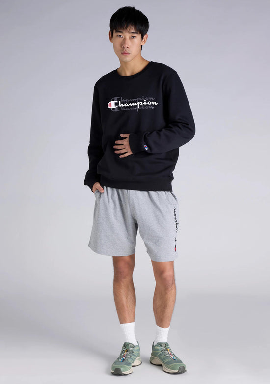 Champion Men’s Sporty Graphic Crew