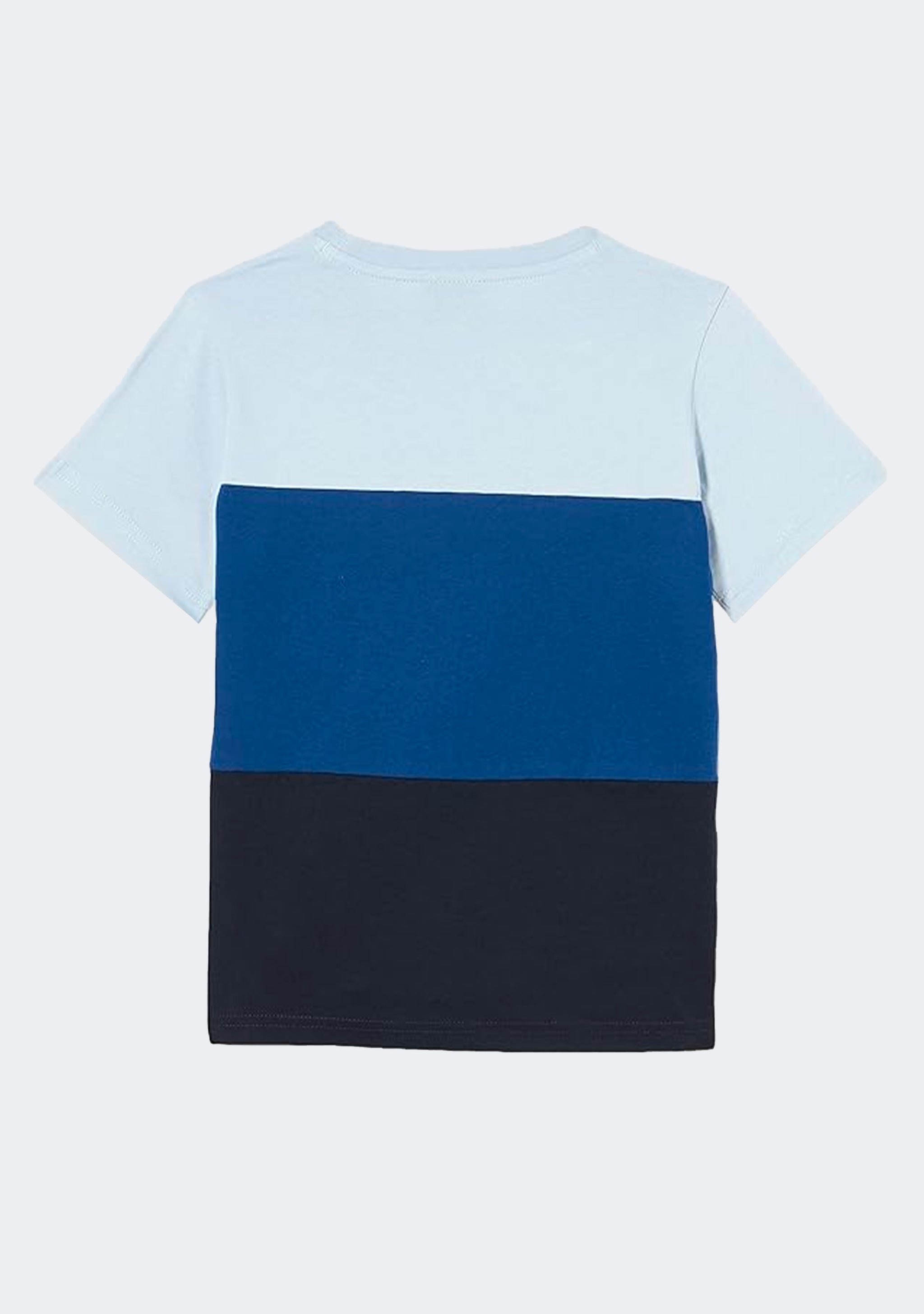 Champion Men's EU Rochester Colourmix Tee