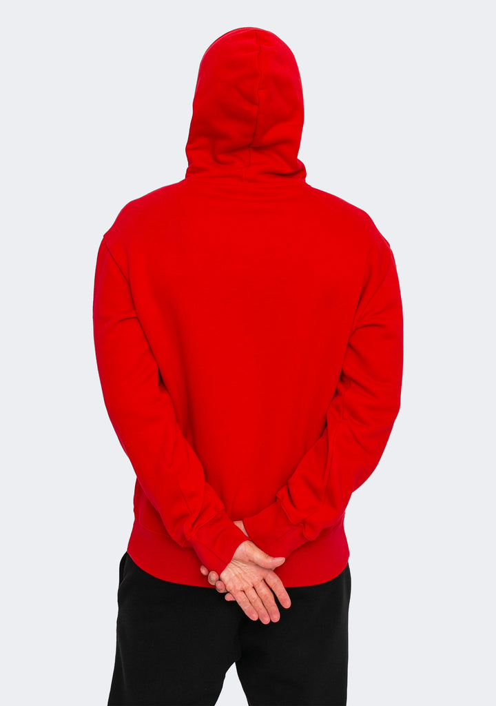 Champion Men's EU Rochester Tonal Hoodie