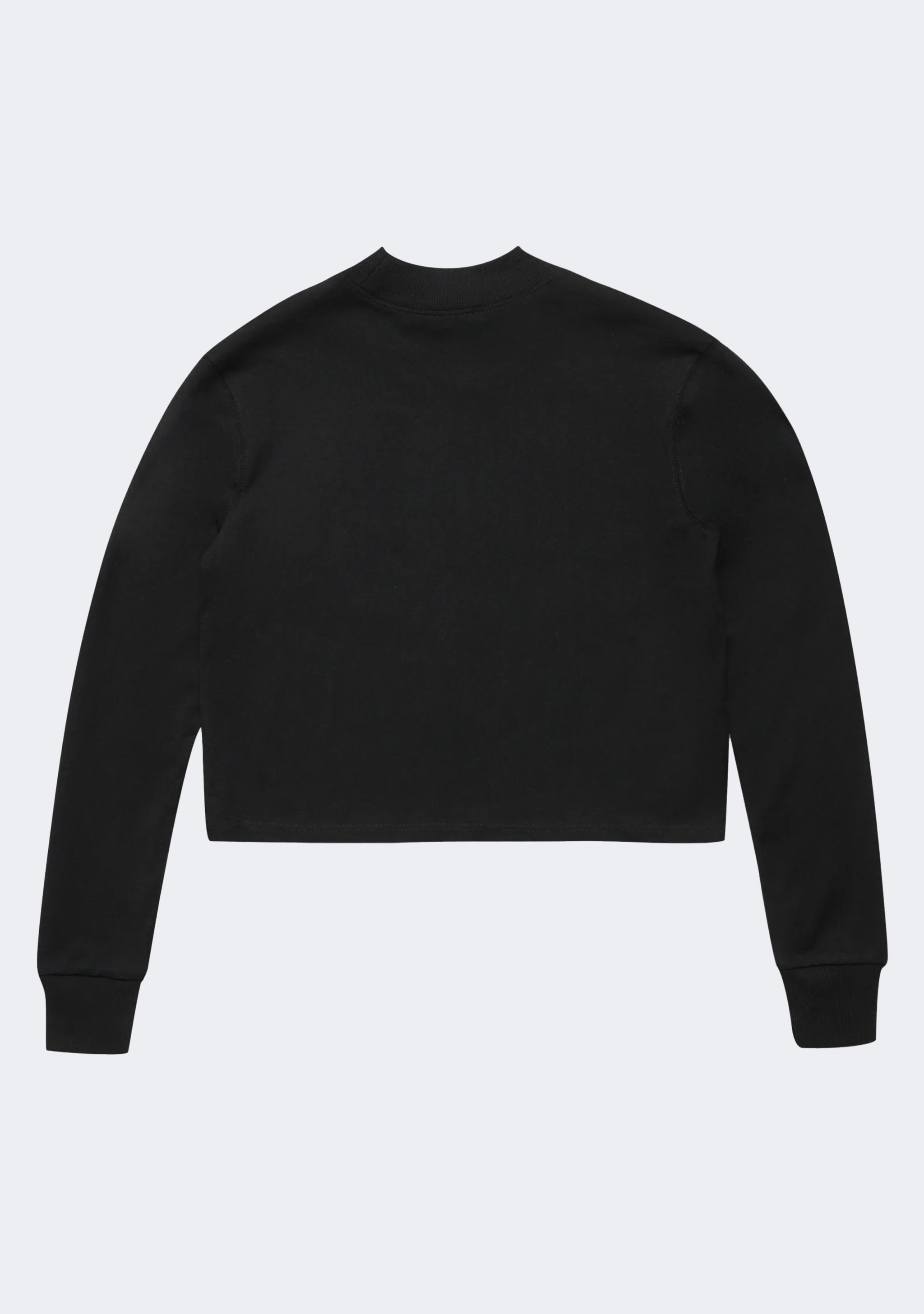 Champion Women's Heritage Mock Long Sleeve Cropped Tee