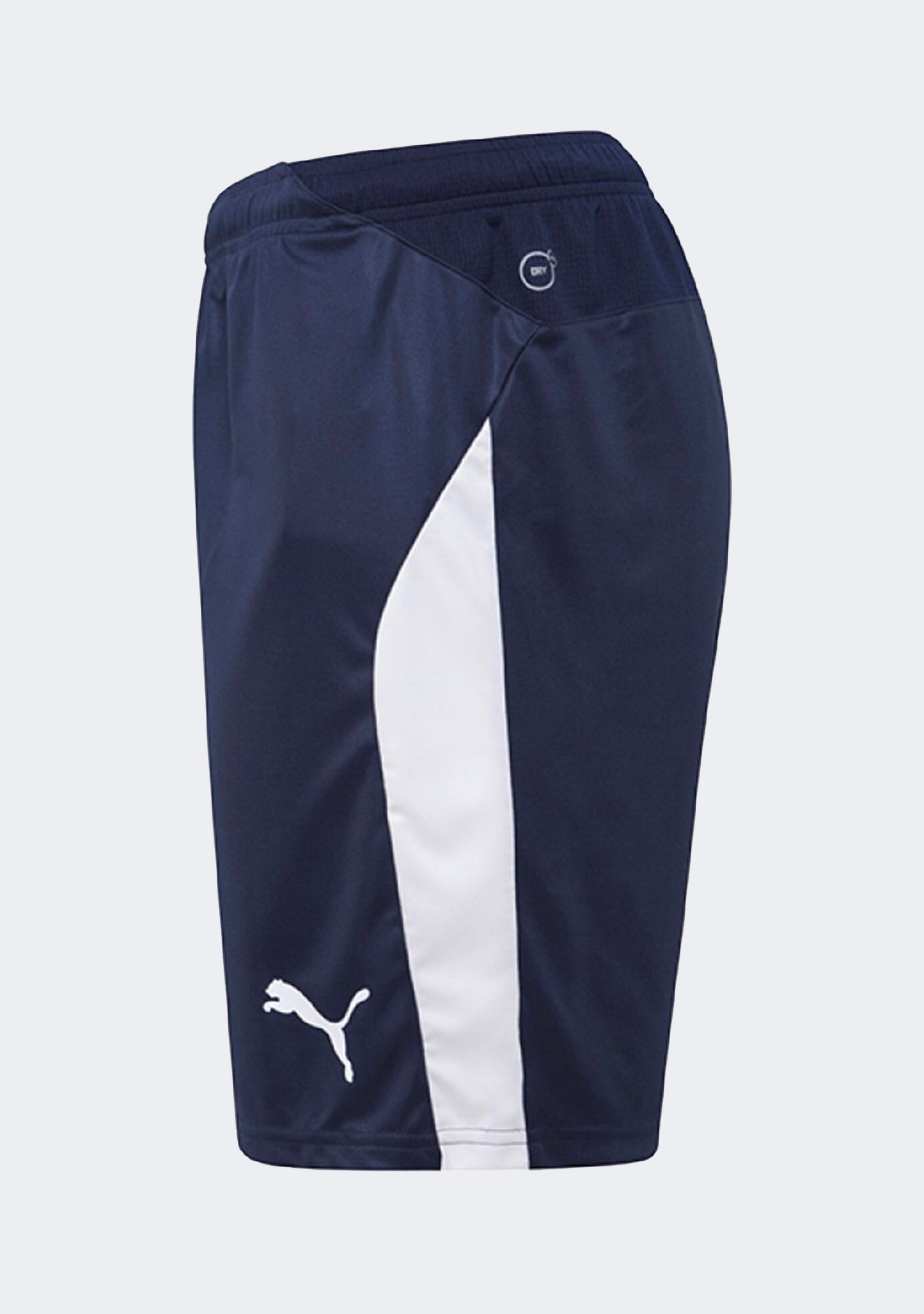 Puma Kids' Liga Shorts