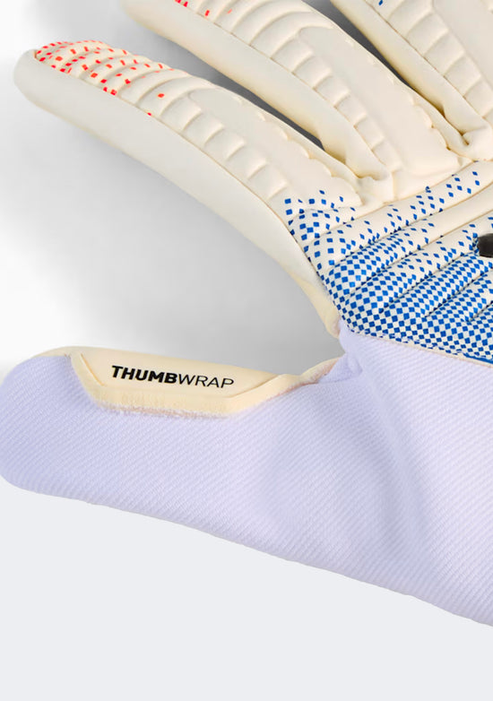 Puma Future Match NC Football Goalkeeper Gloves