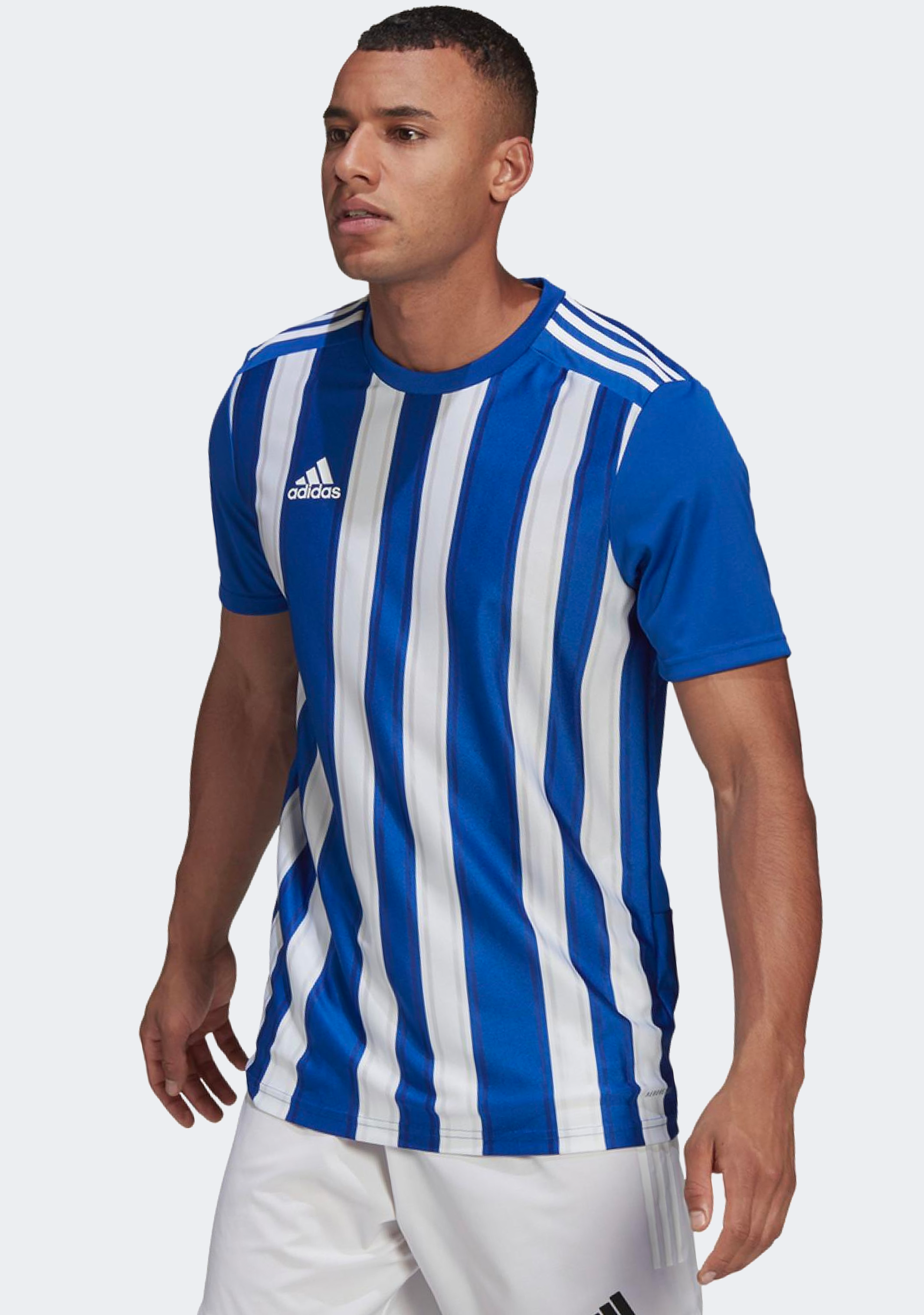 Adidas Mens Striped 21 Jersey Blue/White