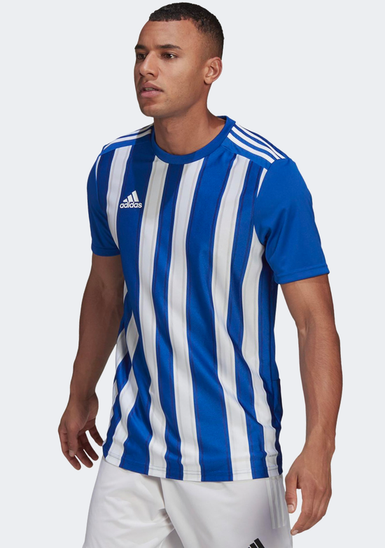 Adidas Mens Striped 21 Jersey Blue/White