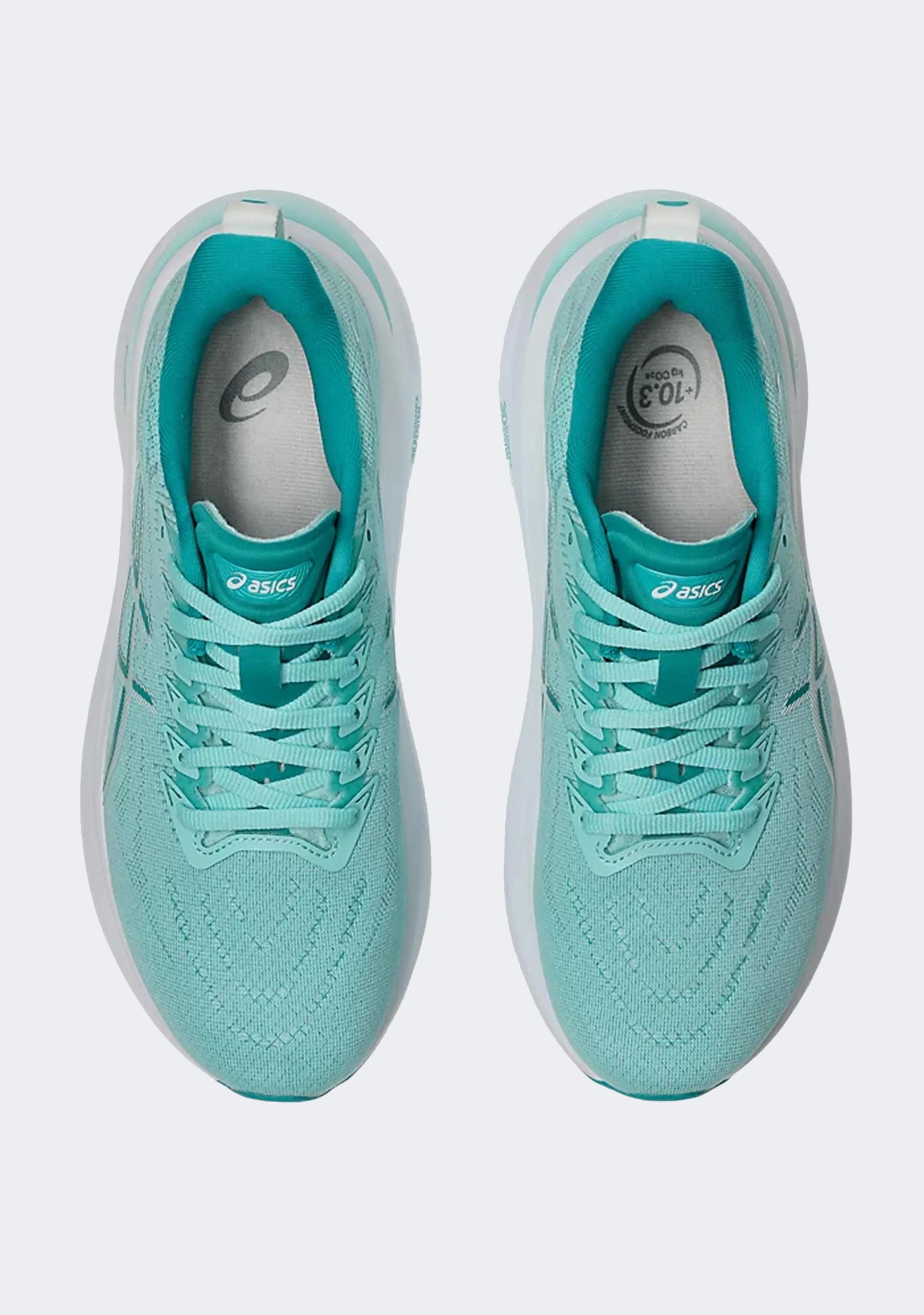 Asics Women's GT 2000 13