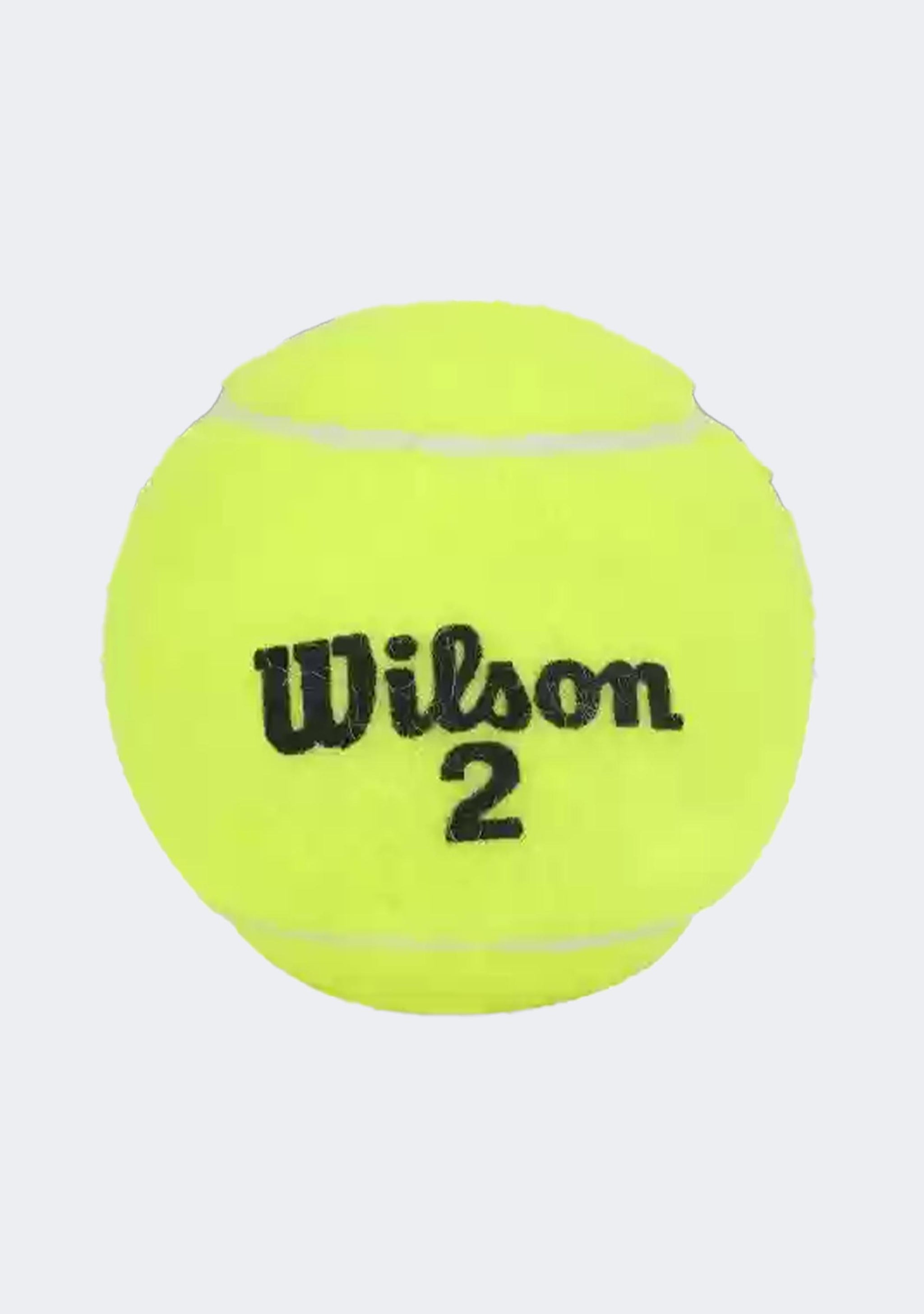 Wilson Championship 3 Ball Can