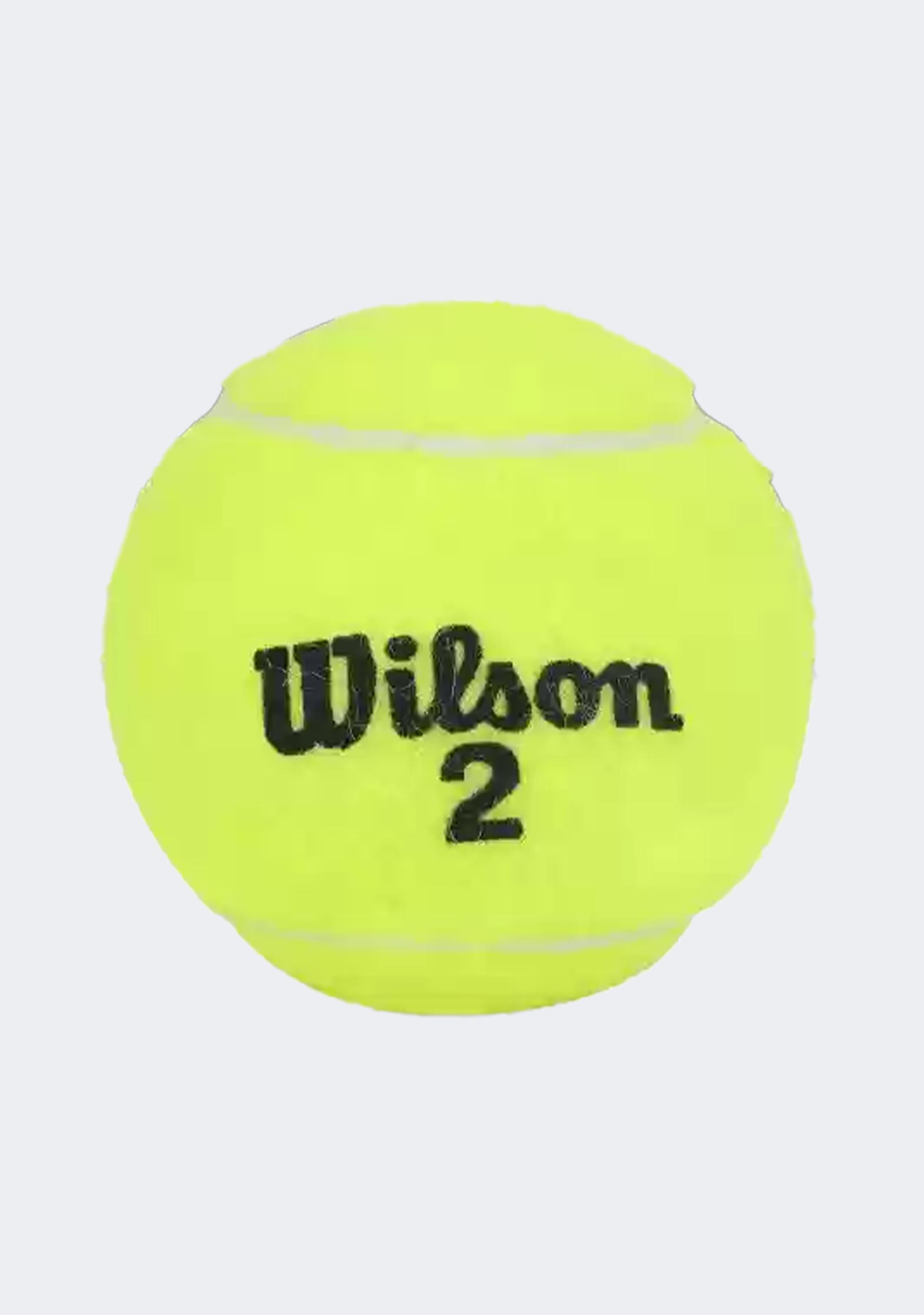 Wilson Championship 3 Ball Can