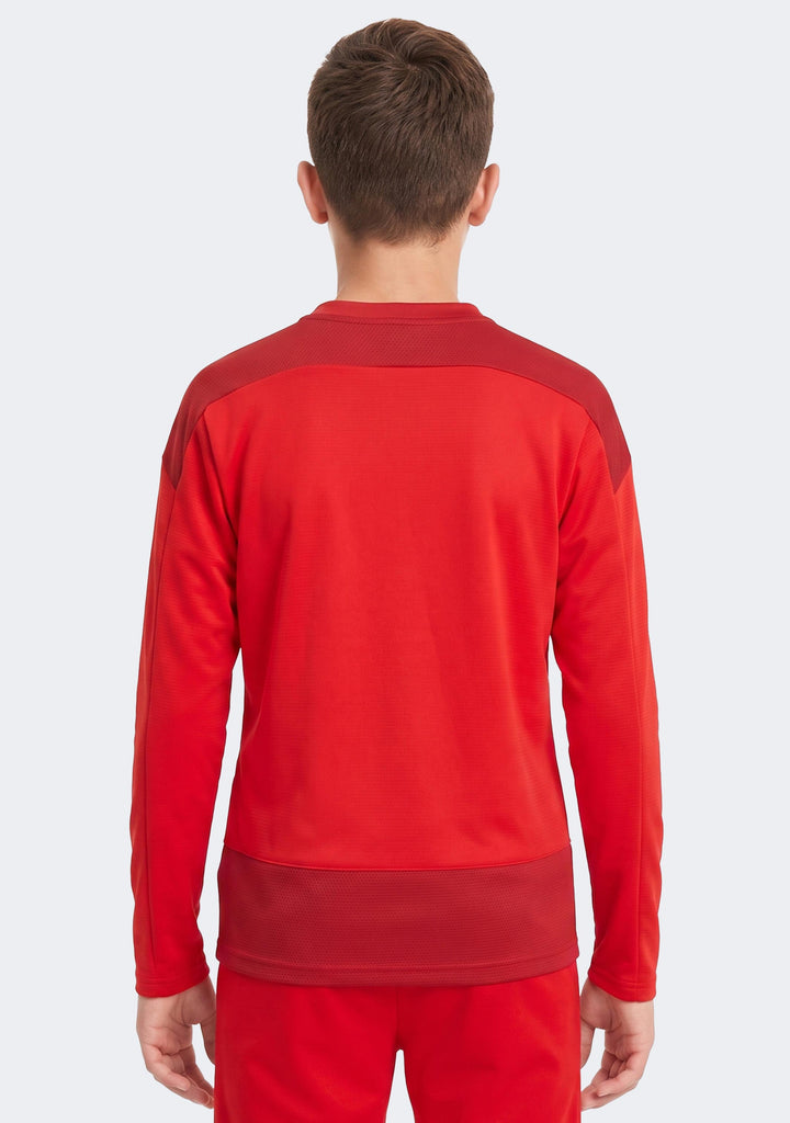 Puma Kids' TeamGOAL 23 Training Sweat