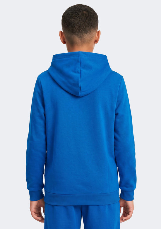 Puma Kids' TeamGoal 23 Hoodie