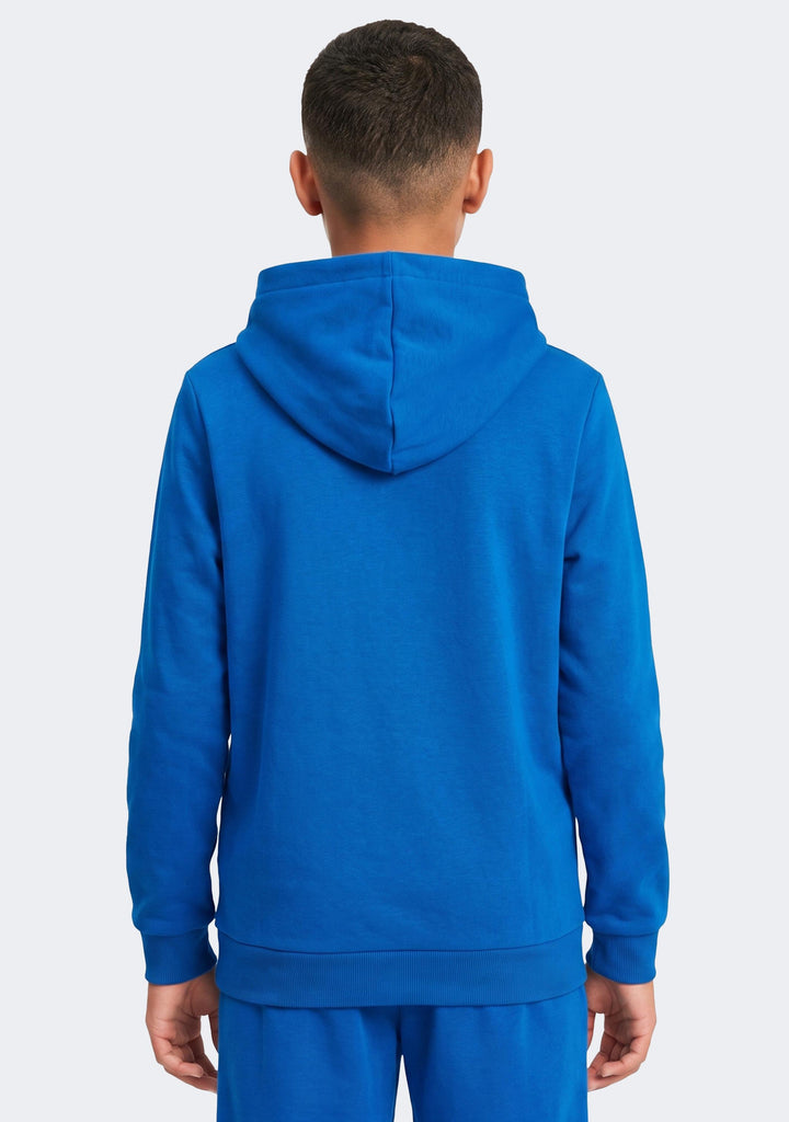 Puma Kids' TeamGoal 23 Hoodie